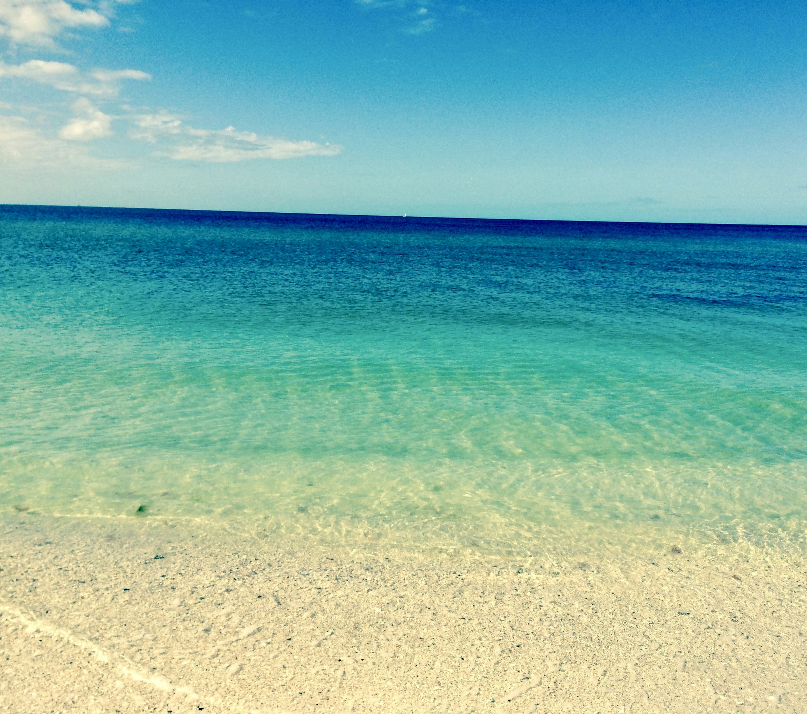Photo by rpconcierge
