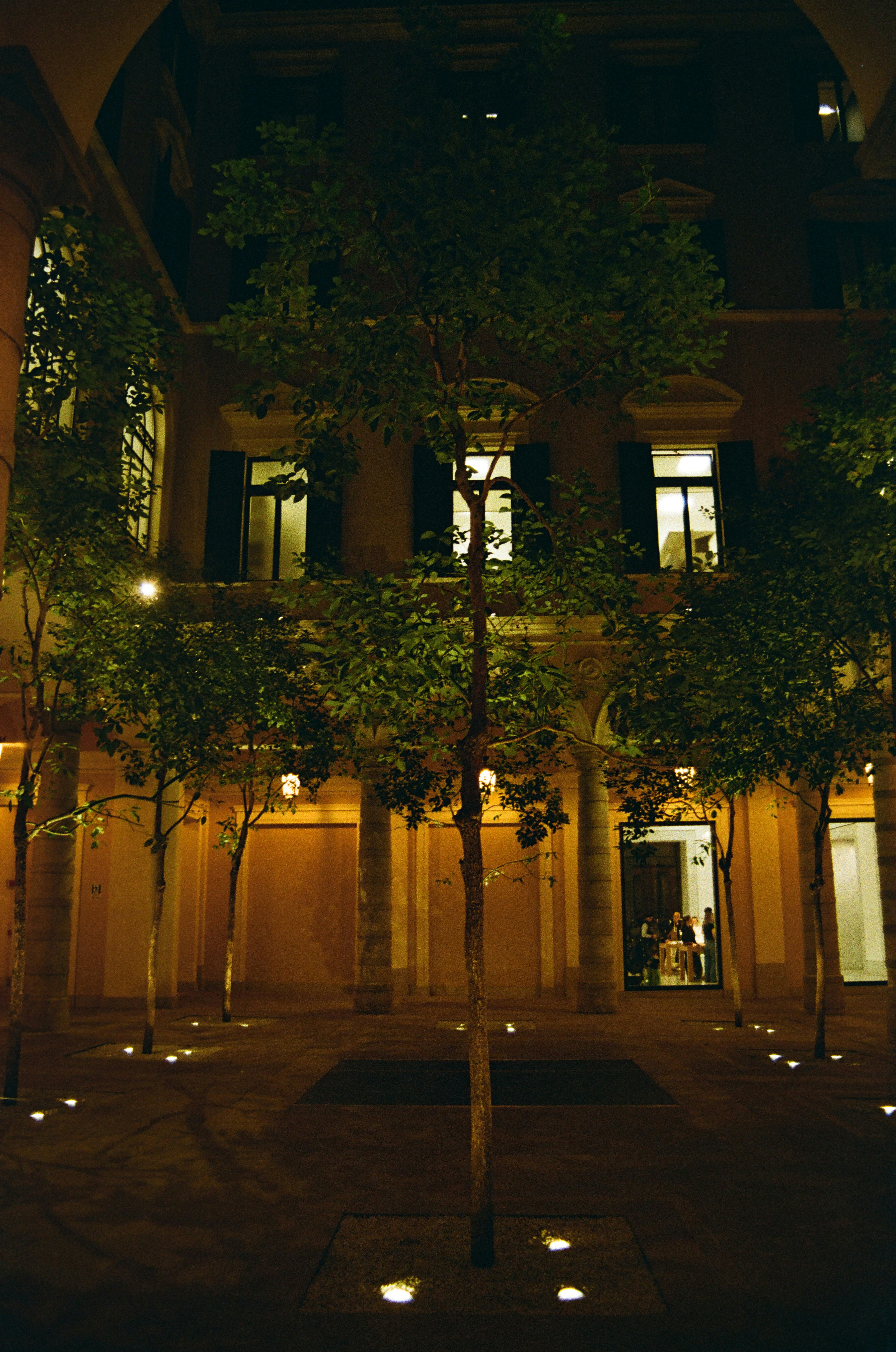 Courtyard with trees and lights at night