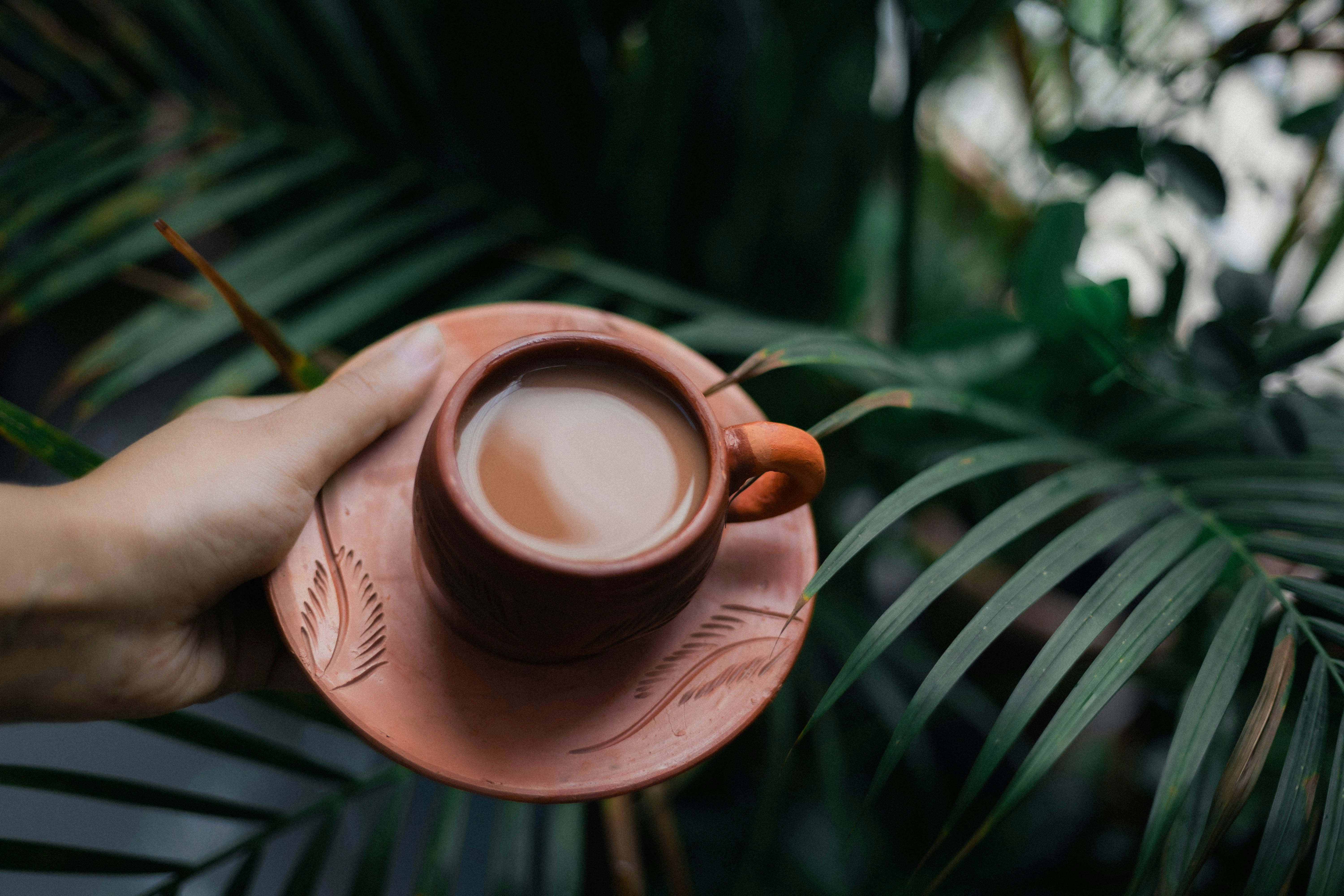 Mano che tiene una tazza di caffè con foglie verdi