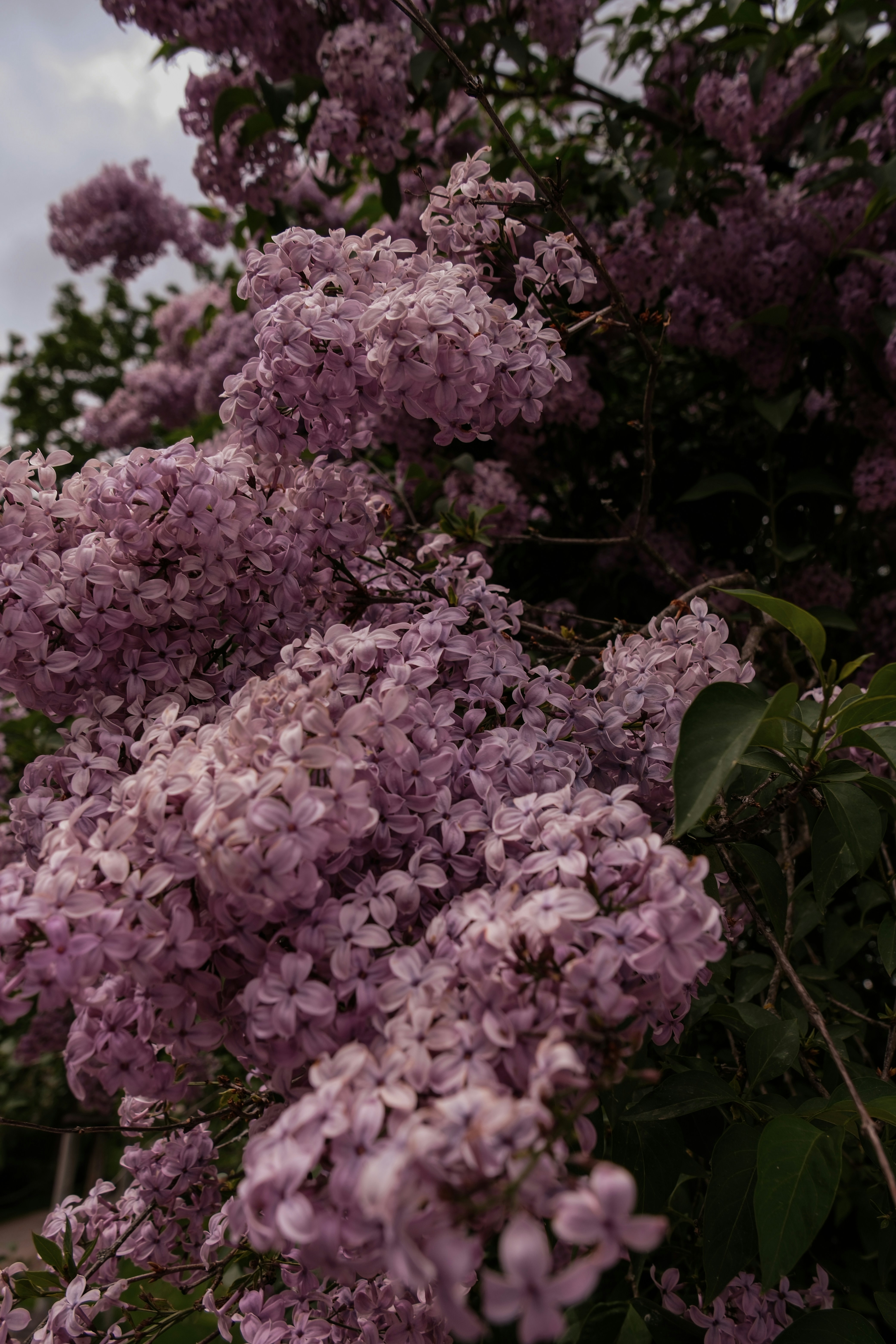 Photo by aml27lw