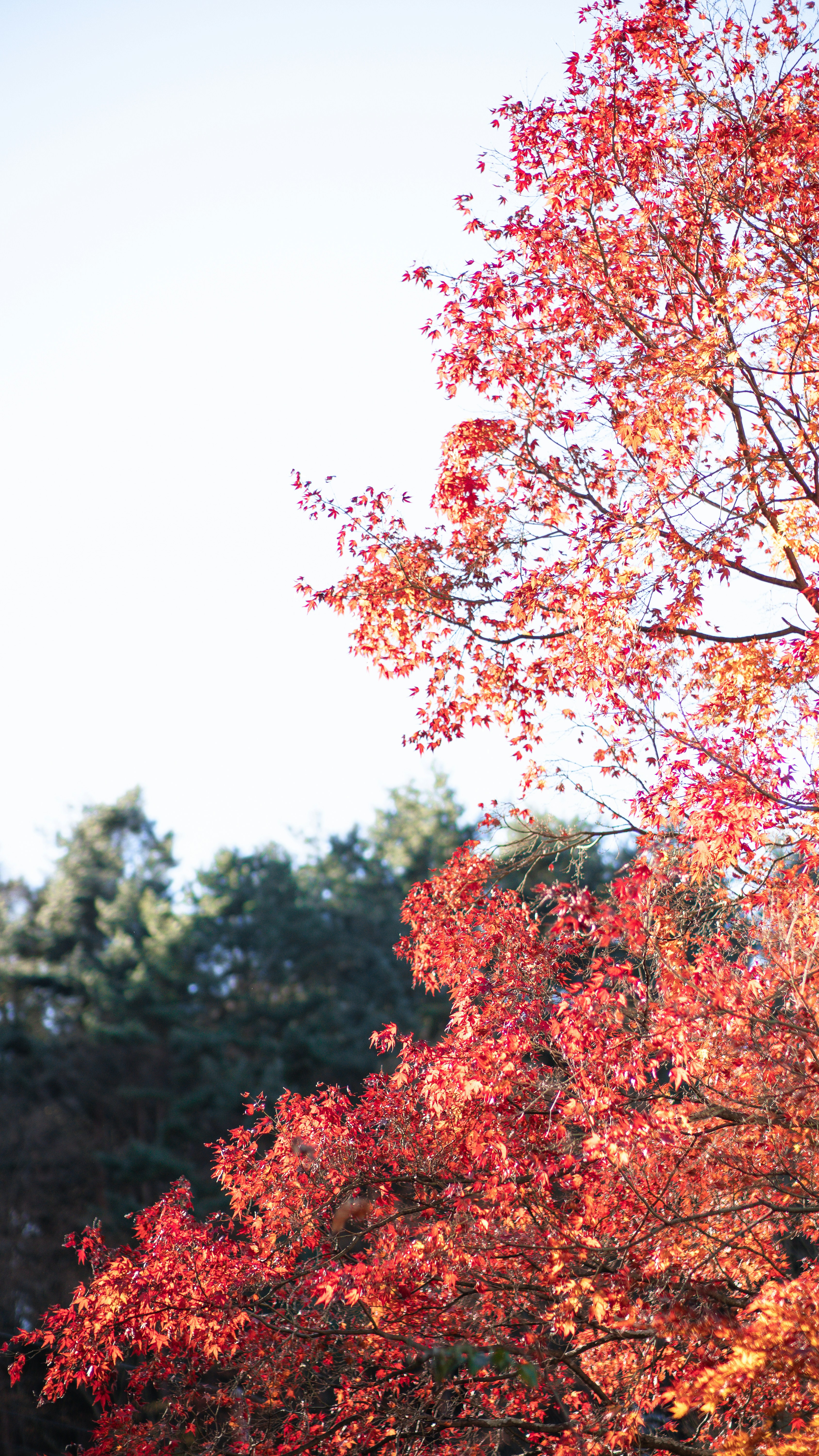 Photo by theninetyfivearchive
