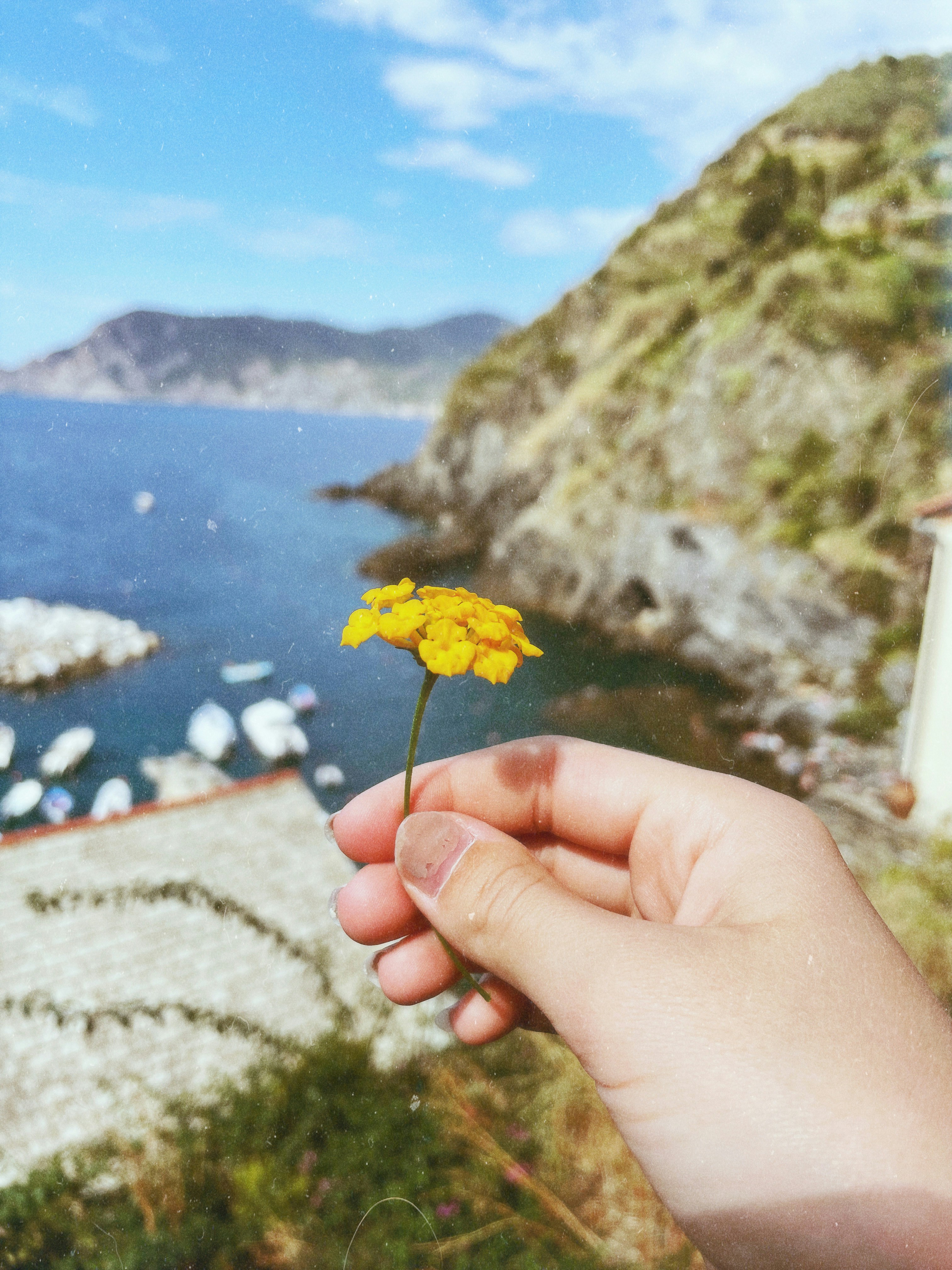 海が見える黄色い花を持つ手