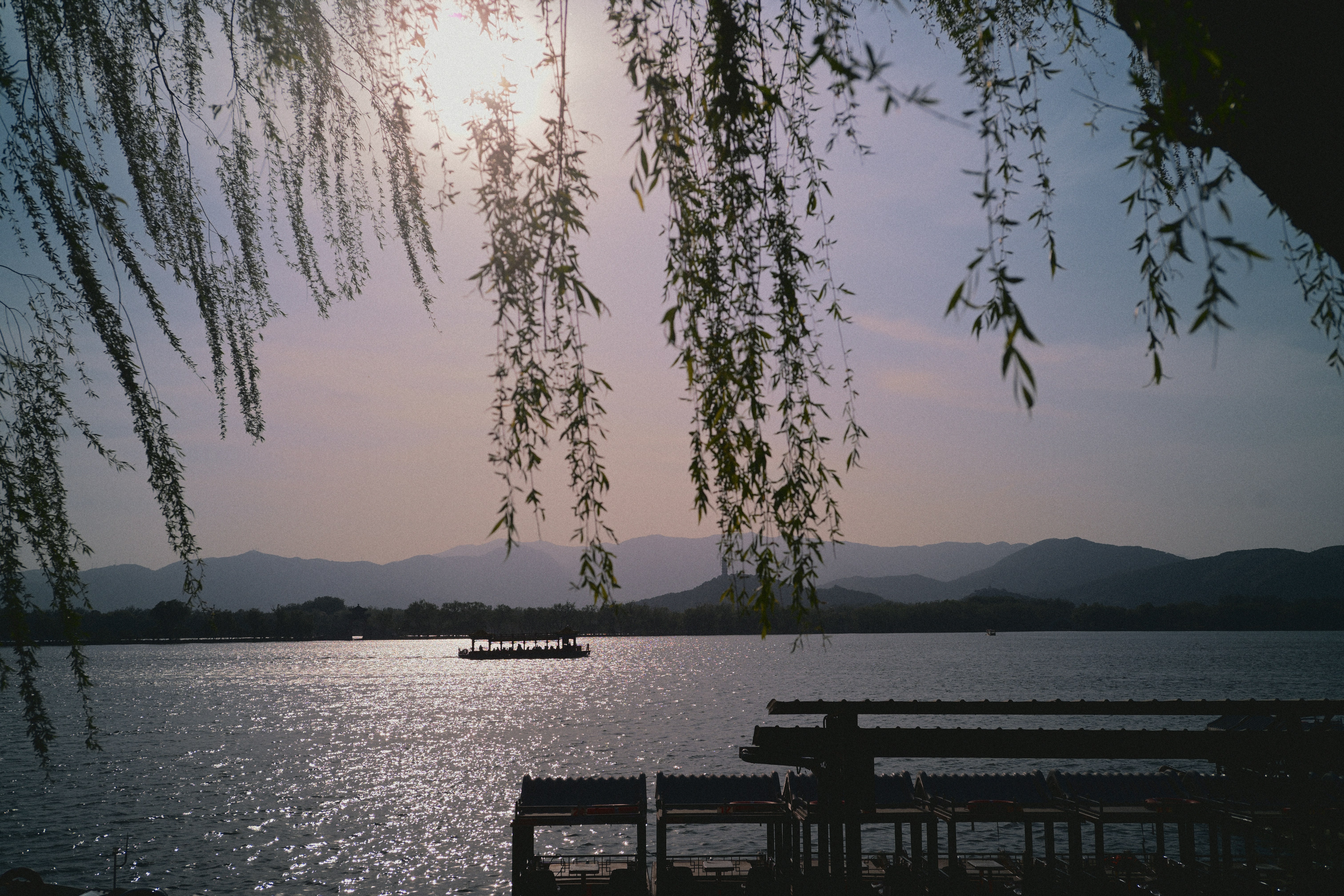 Willow branches frame a tranquil lake at sunset.