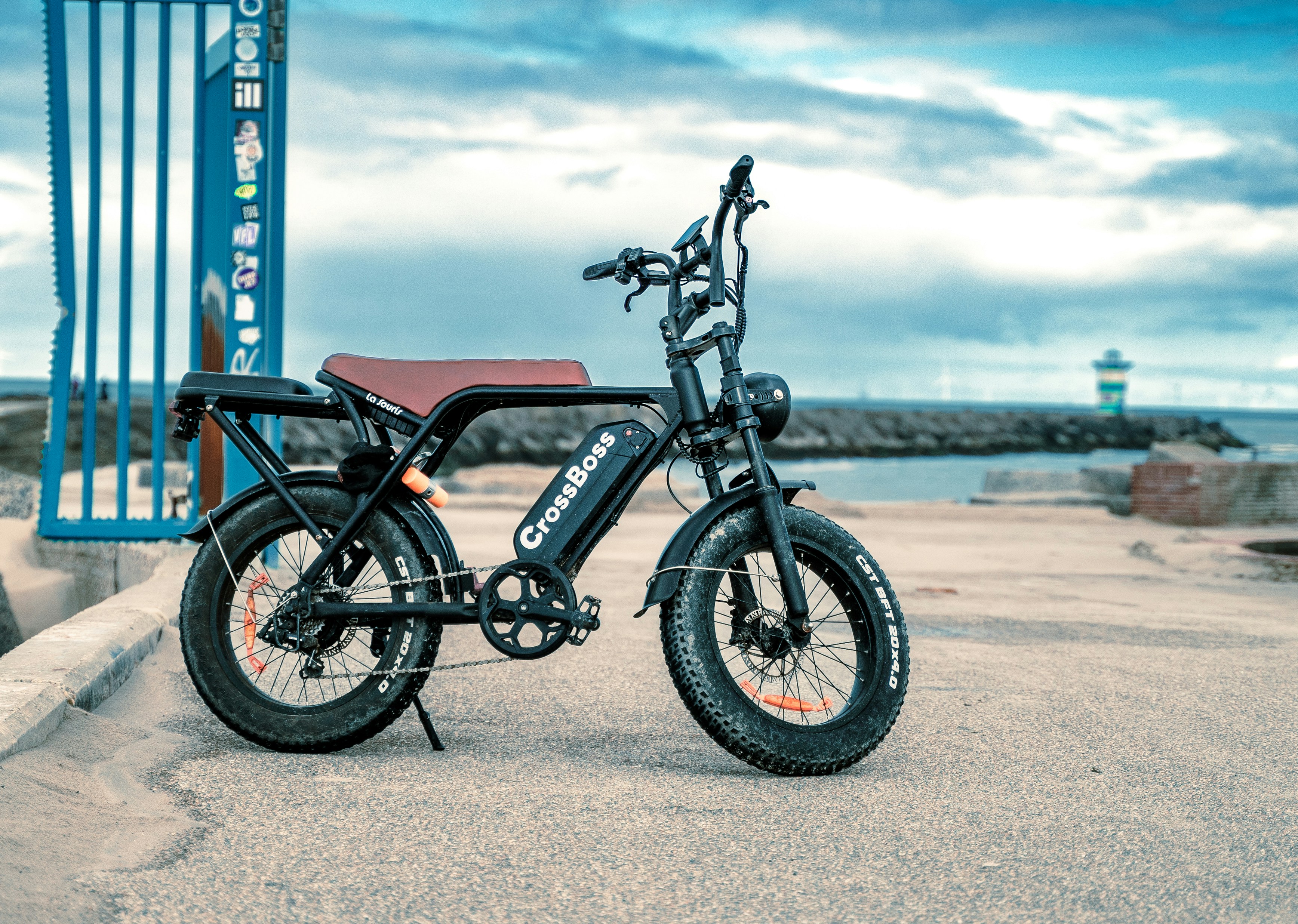 A black electric bicycle parked by the sea.
