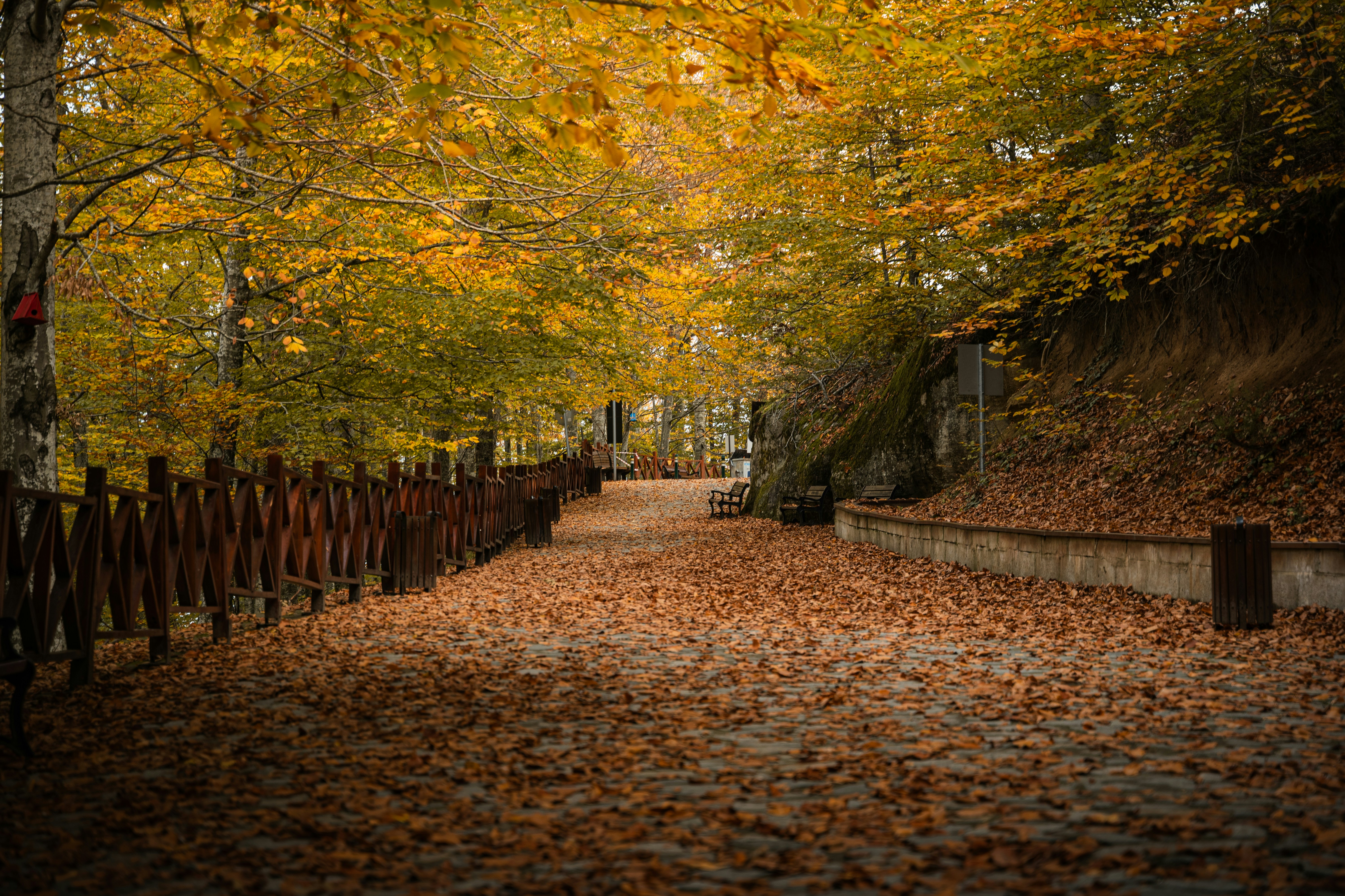 Photo by yasinonus