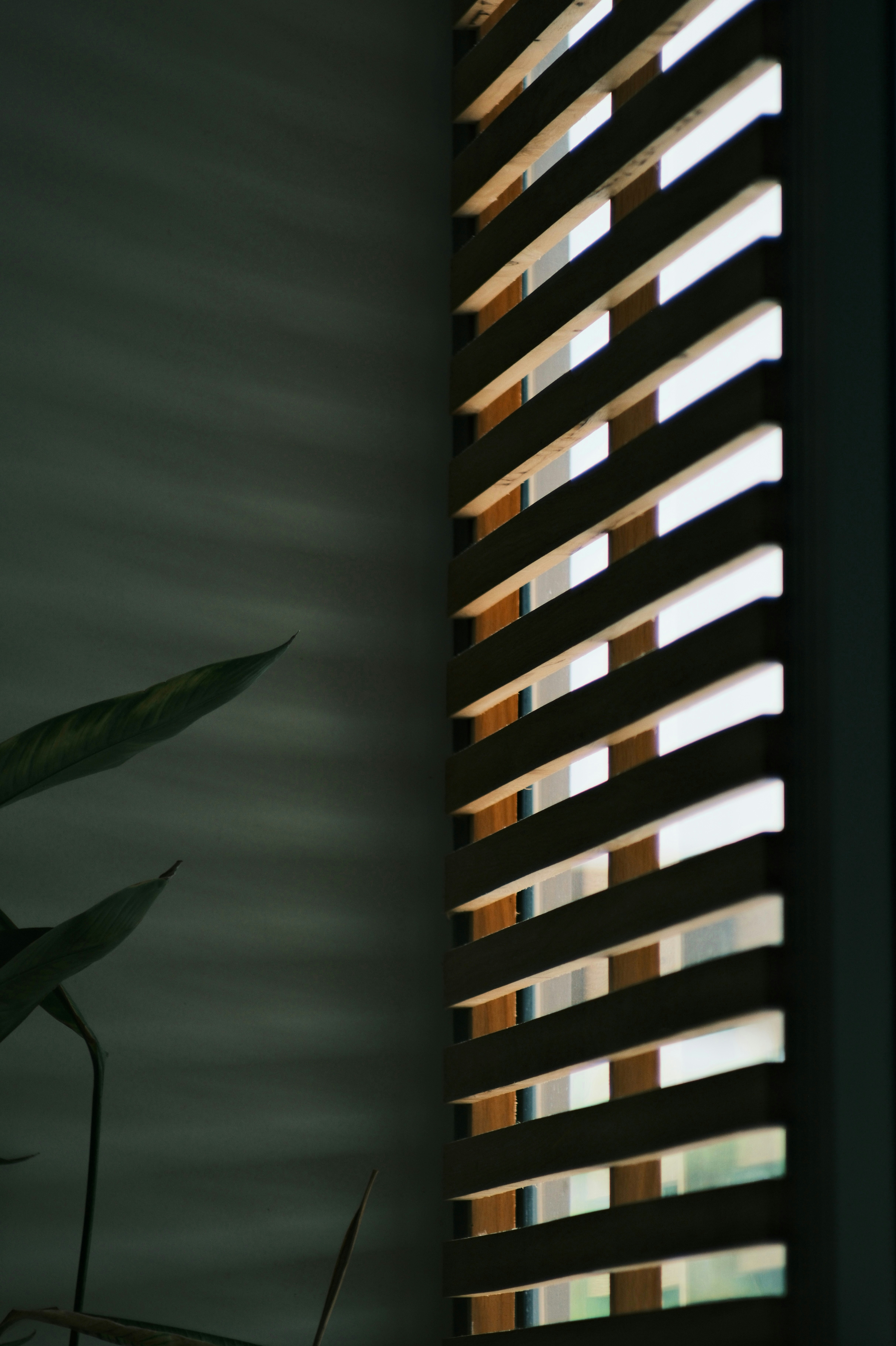 Wooden slatted screen with light shining through