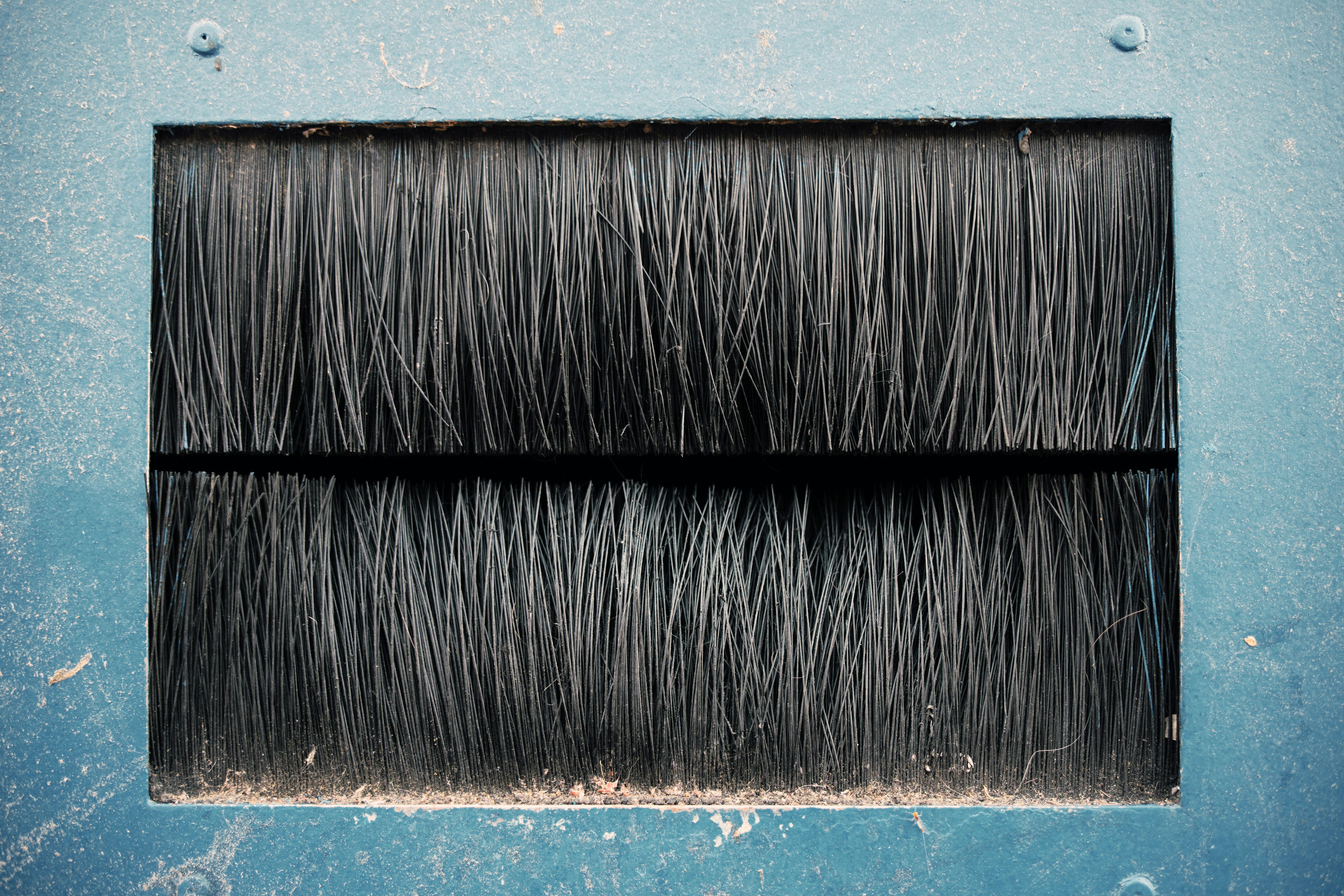 Close-up of black bristles in a blue frame.
