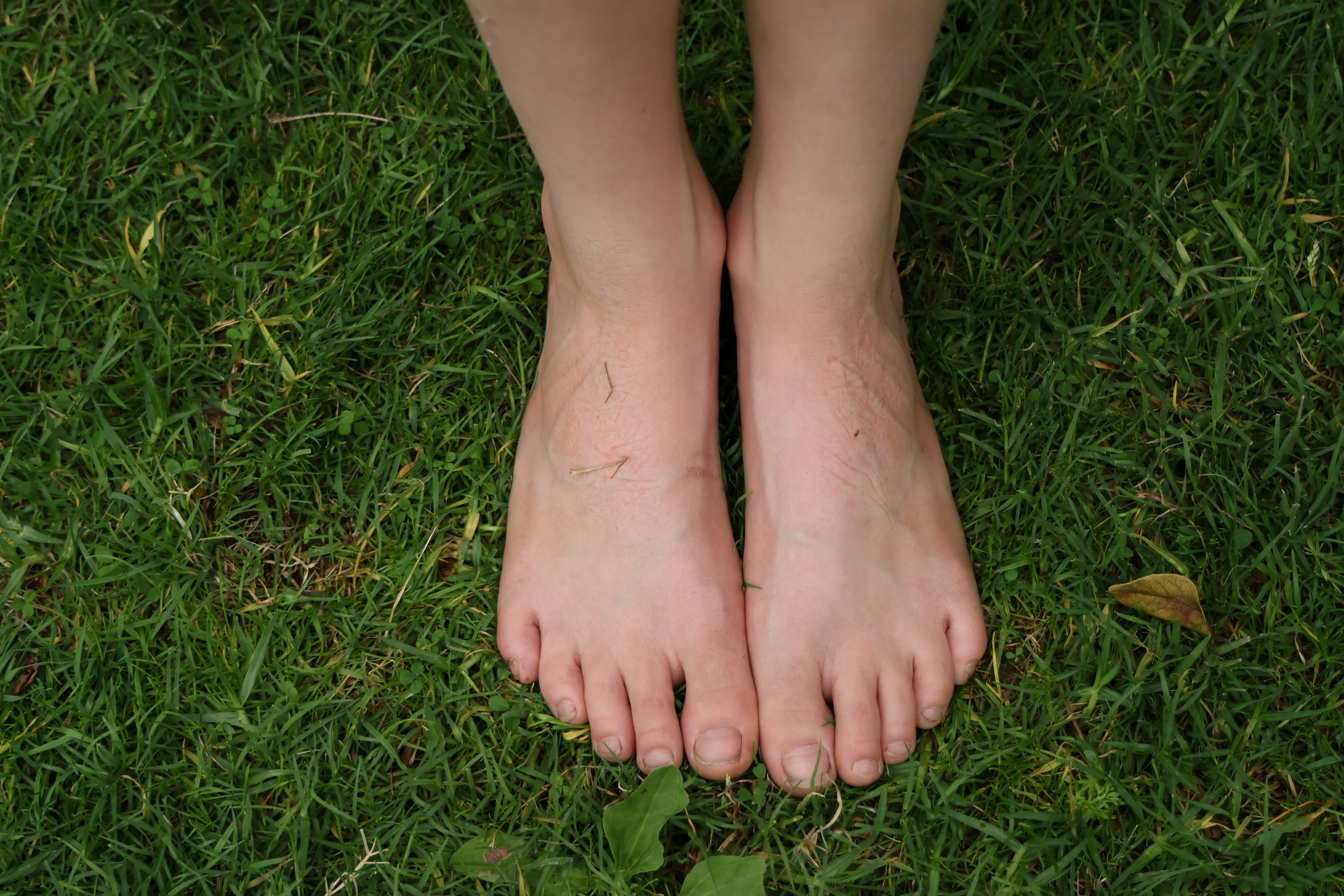 Bare feet standing on green grass.