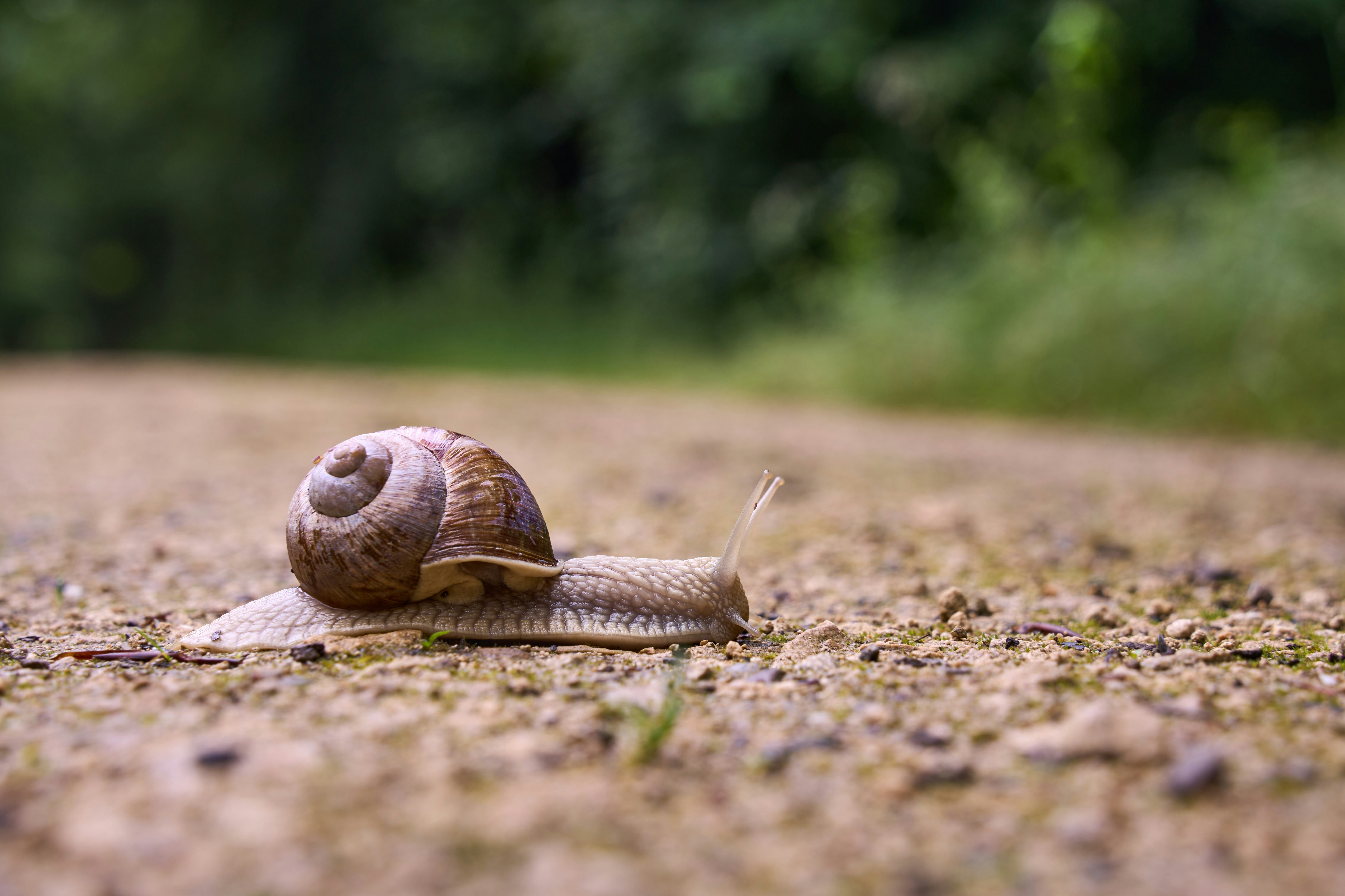 Photo by wolfgang_hasselmann