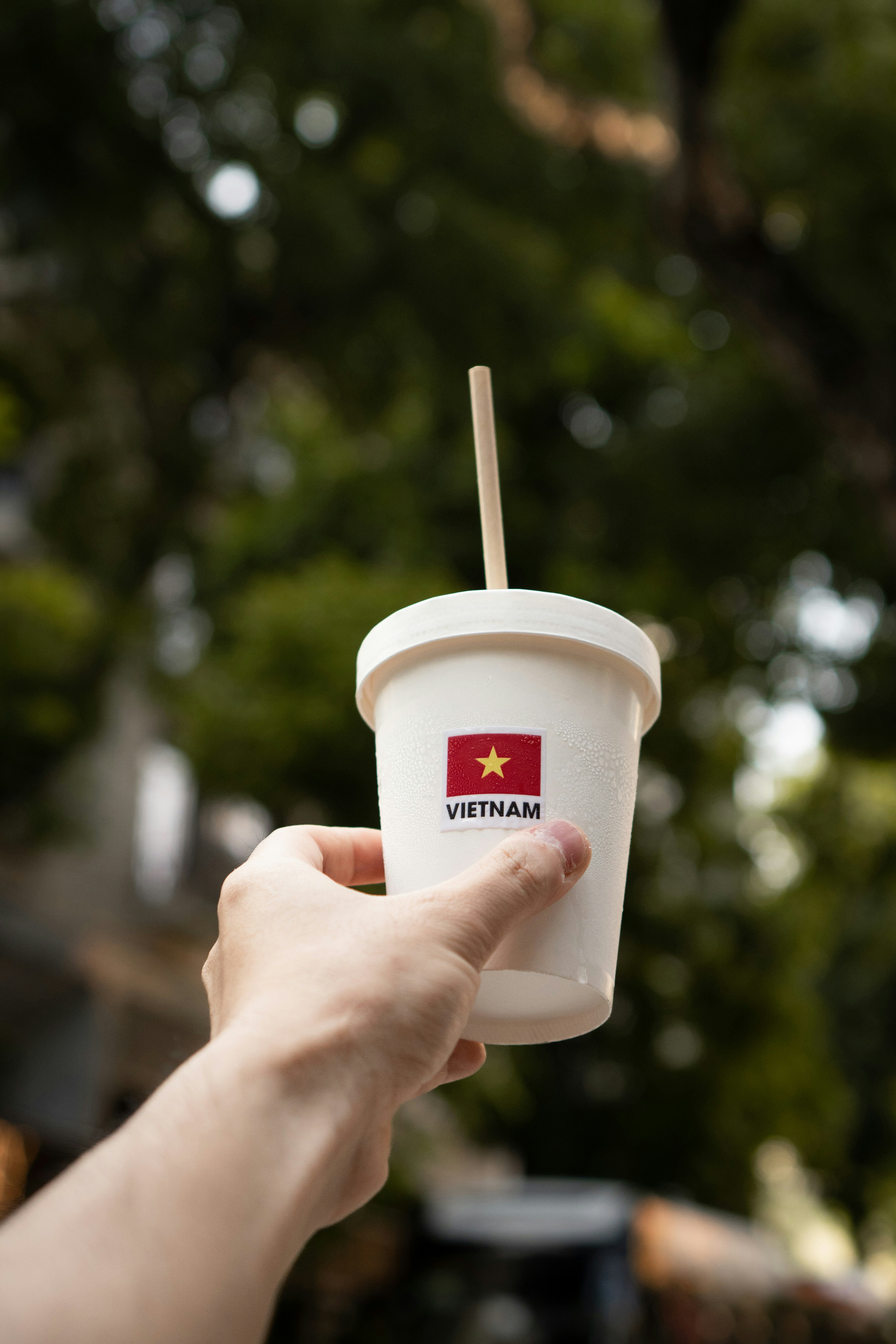 Rice as Identity: Understanding the Grain That Runs Through Vietnamese Culture