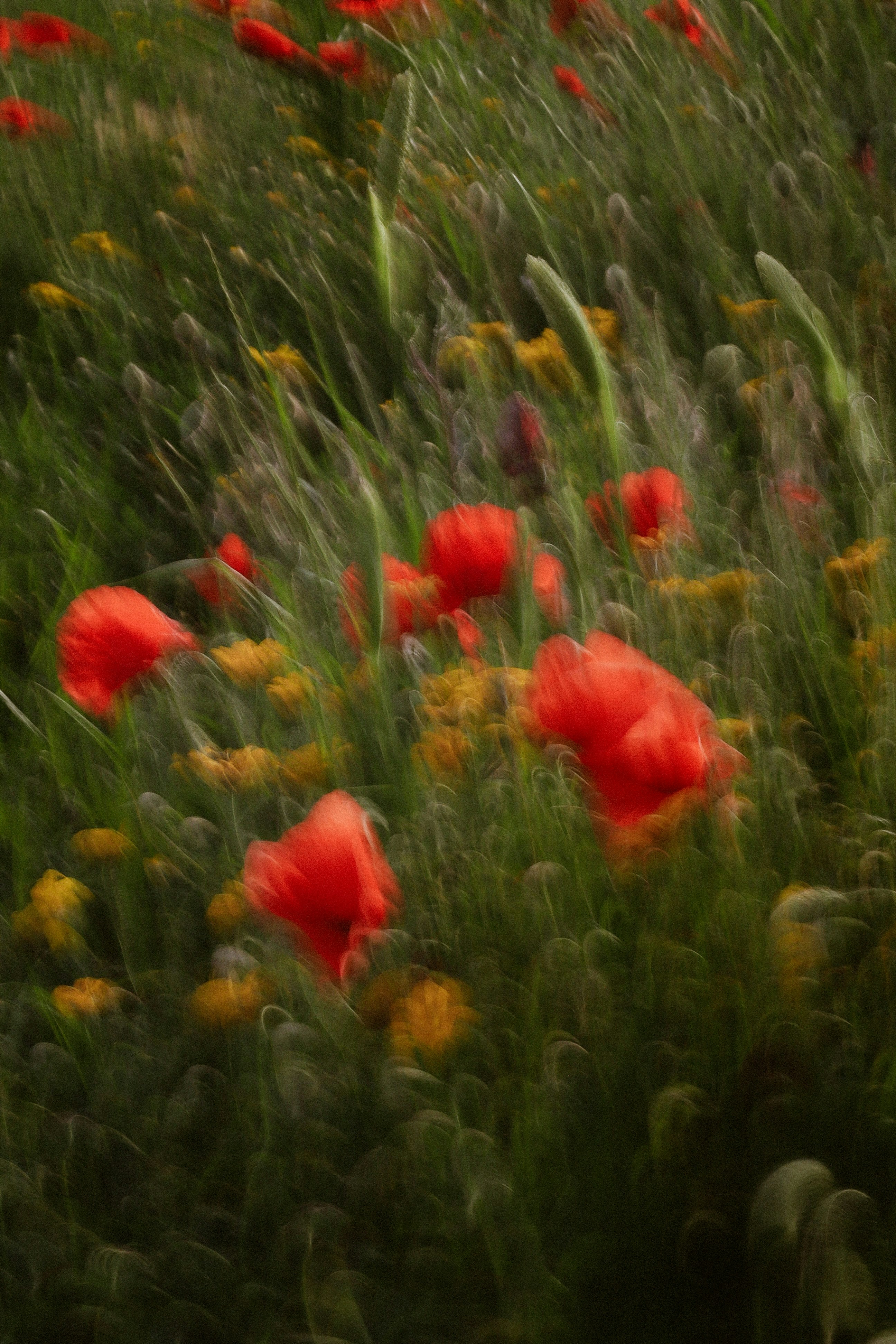 Photo by natinati