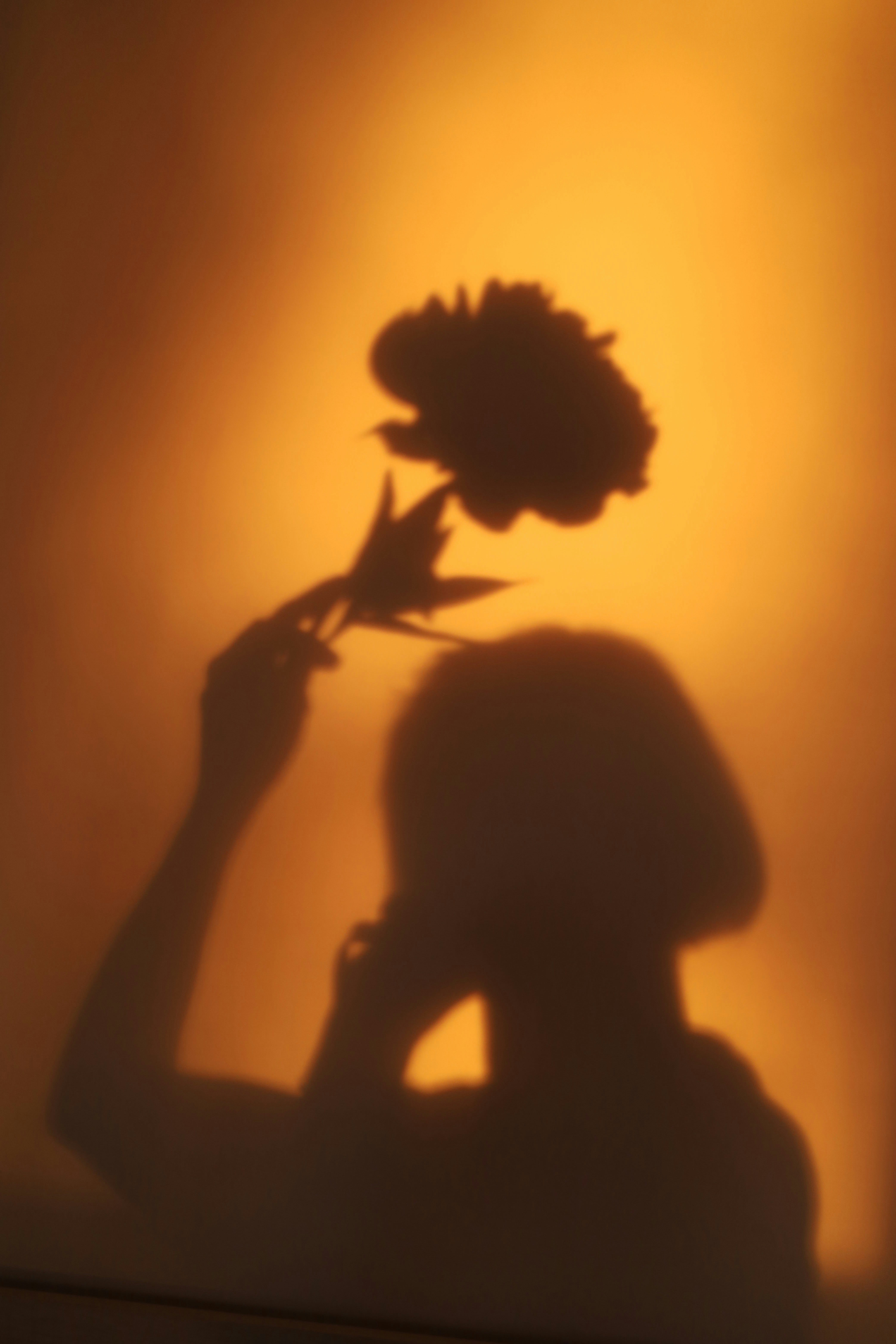 Shadow of a person holding a flower