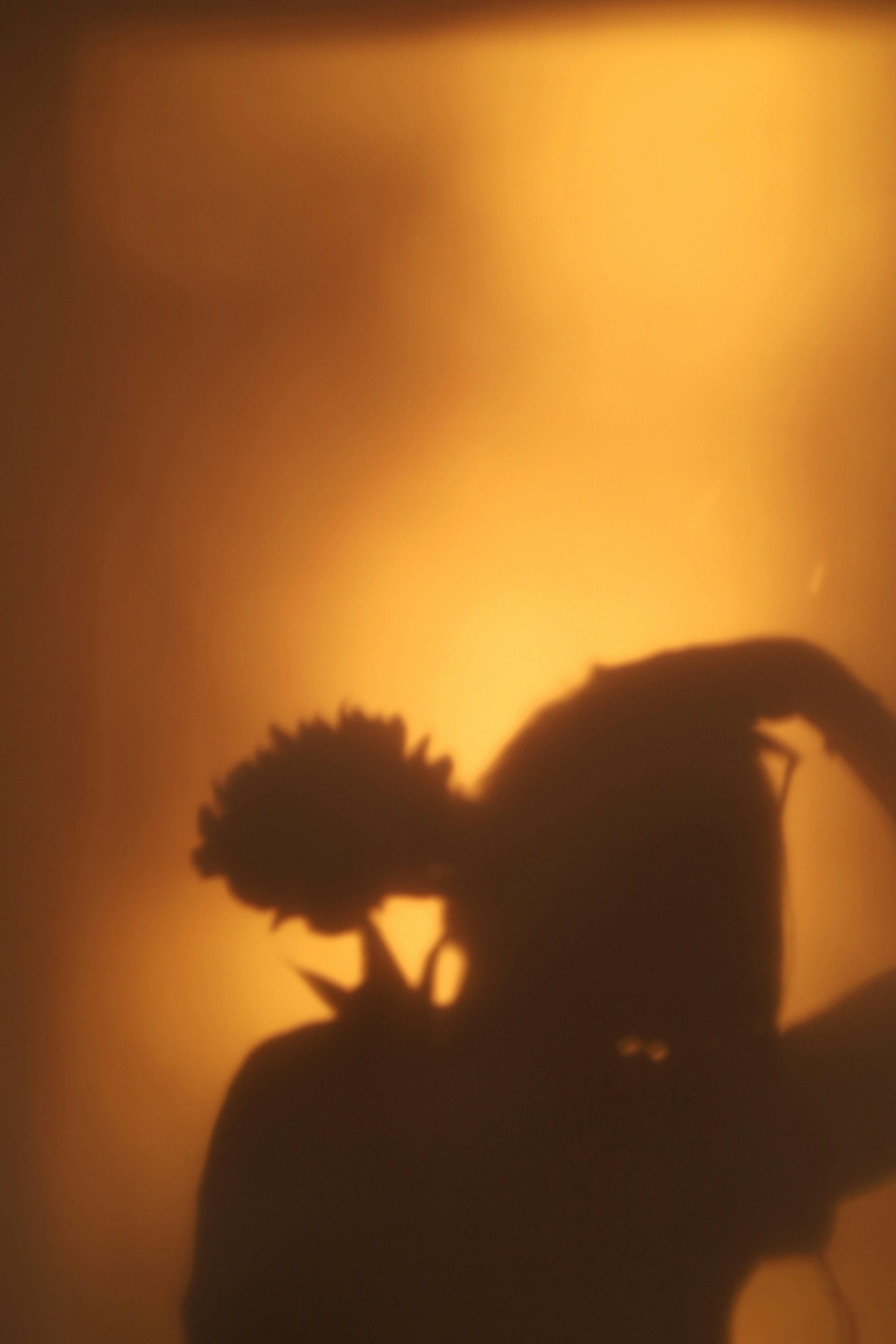 Shadow of a person holding a flower