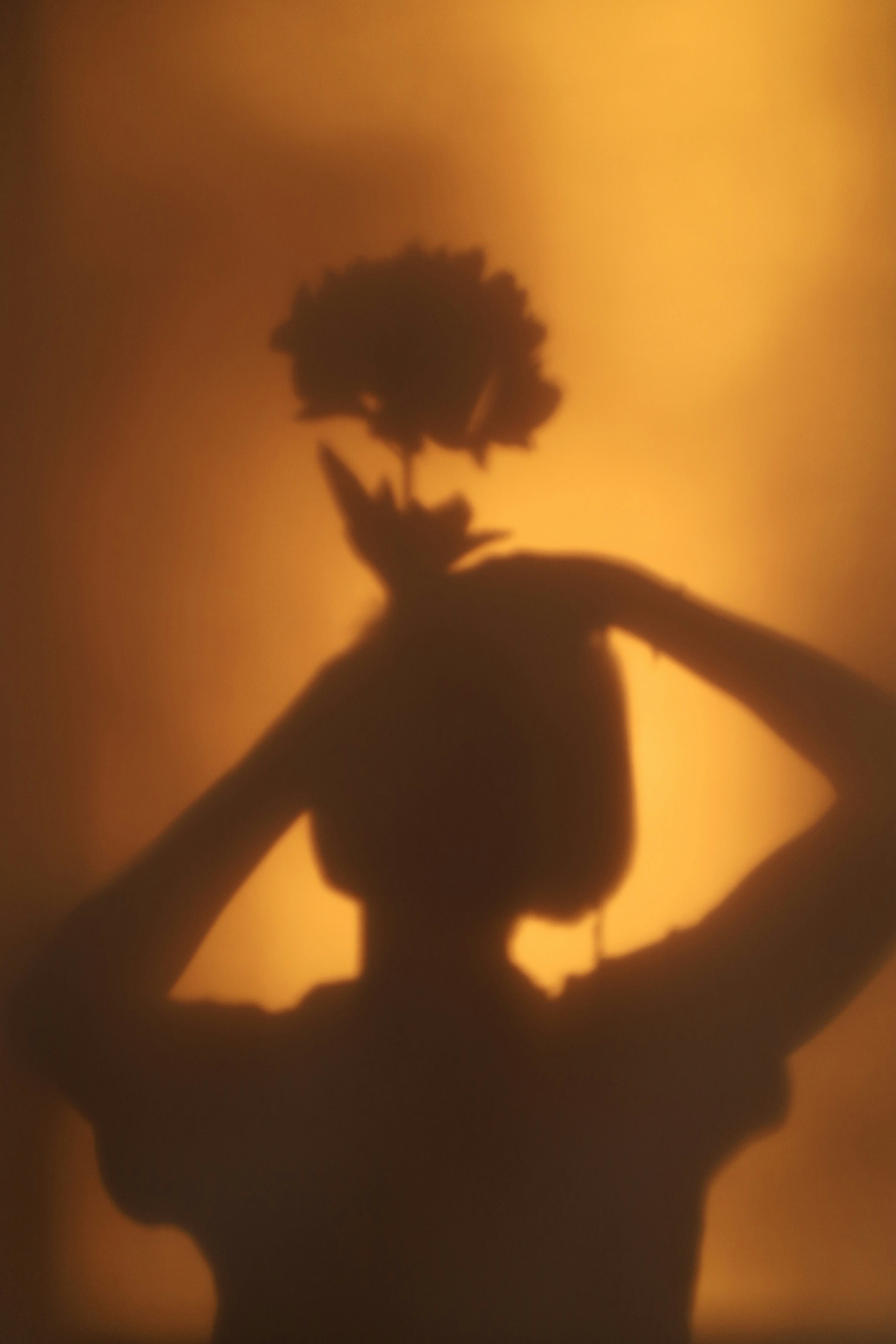 Silhouette of a person holding a flower above head