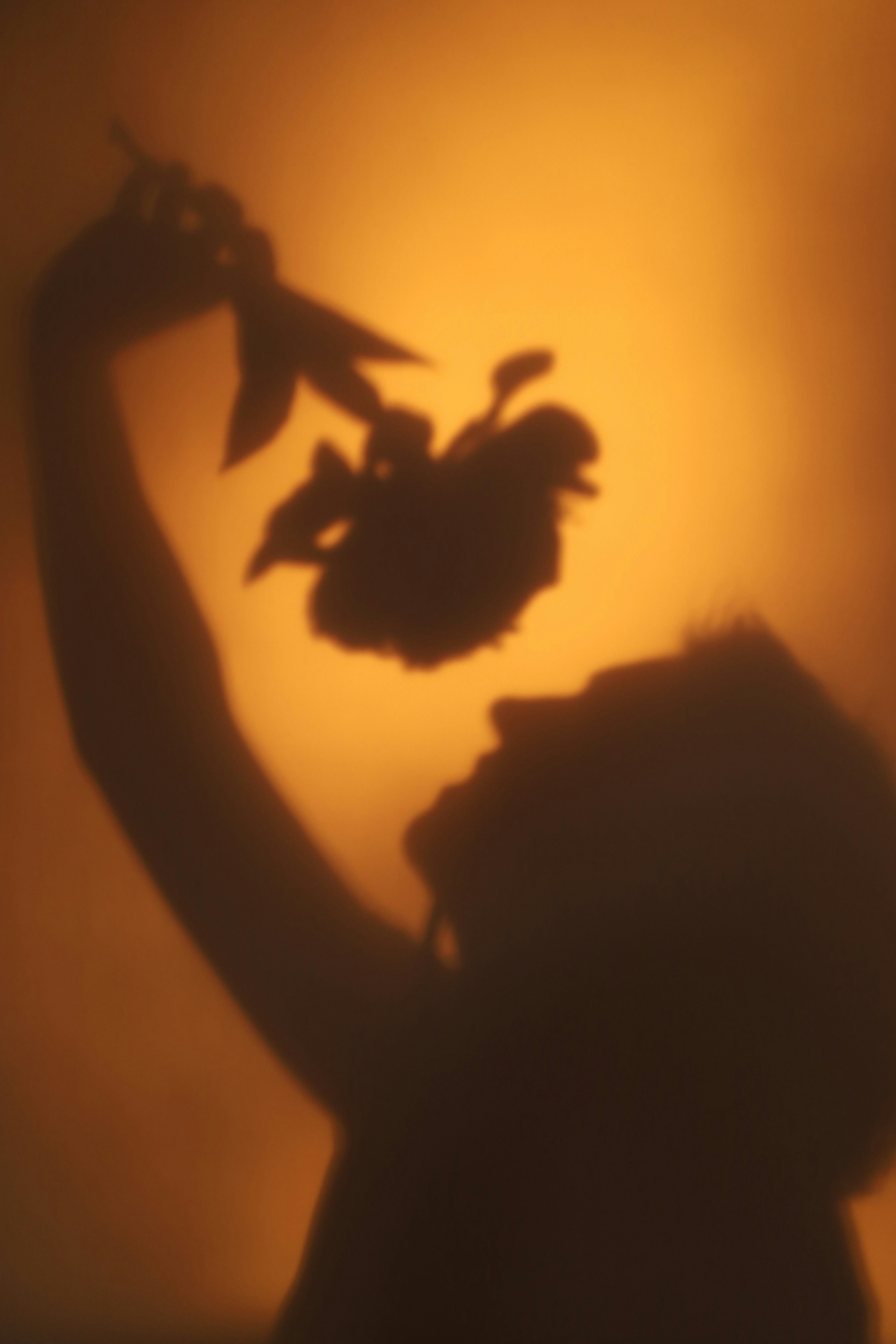 Silhouette of a person holding a flower