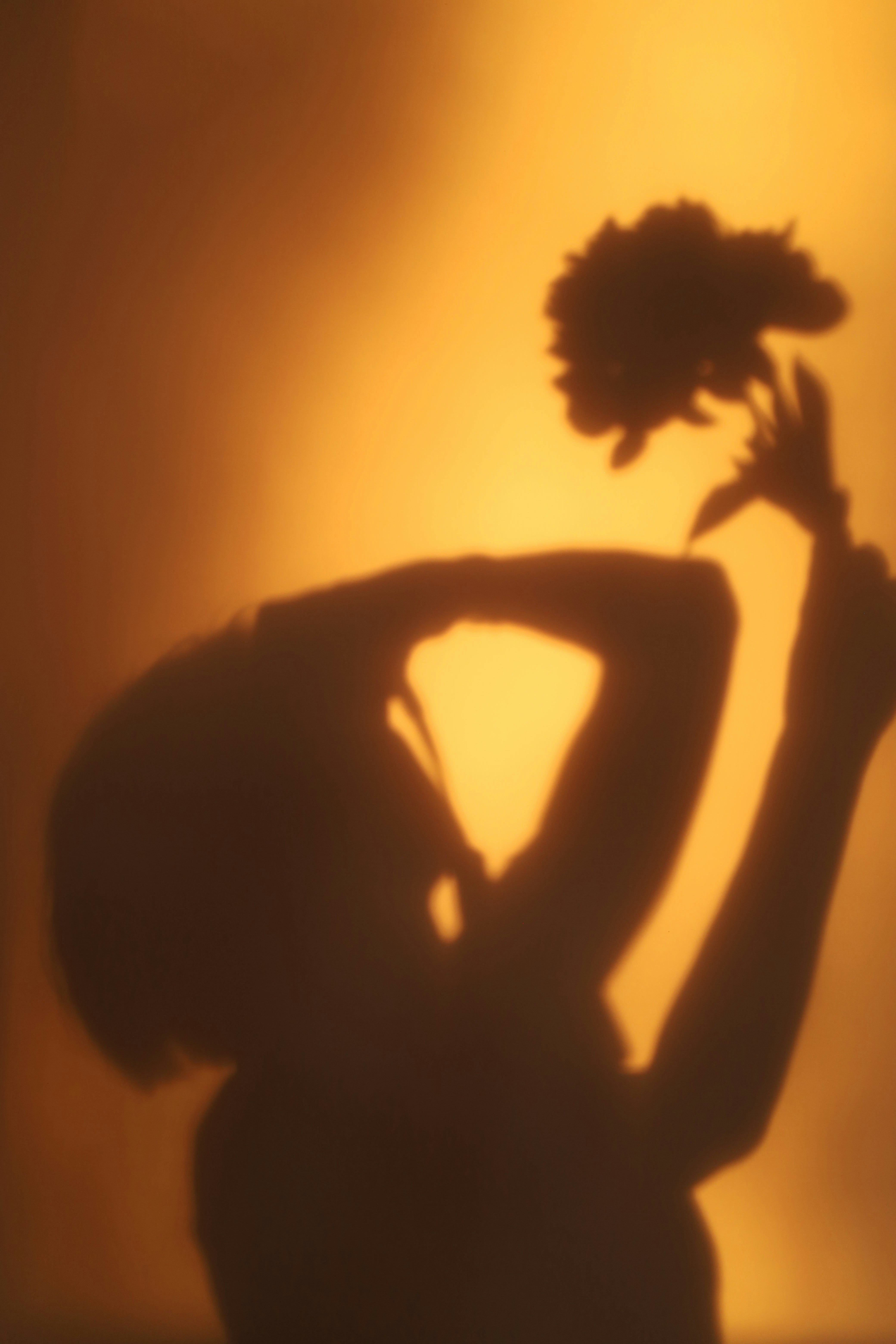 Silhouette of a person holding a flower