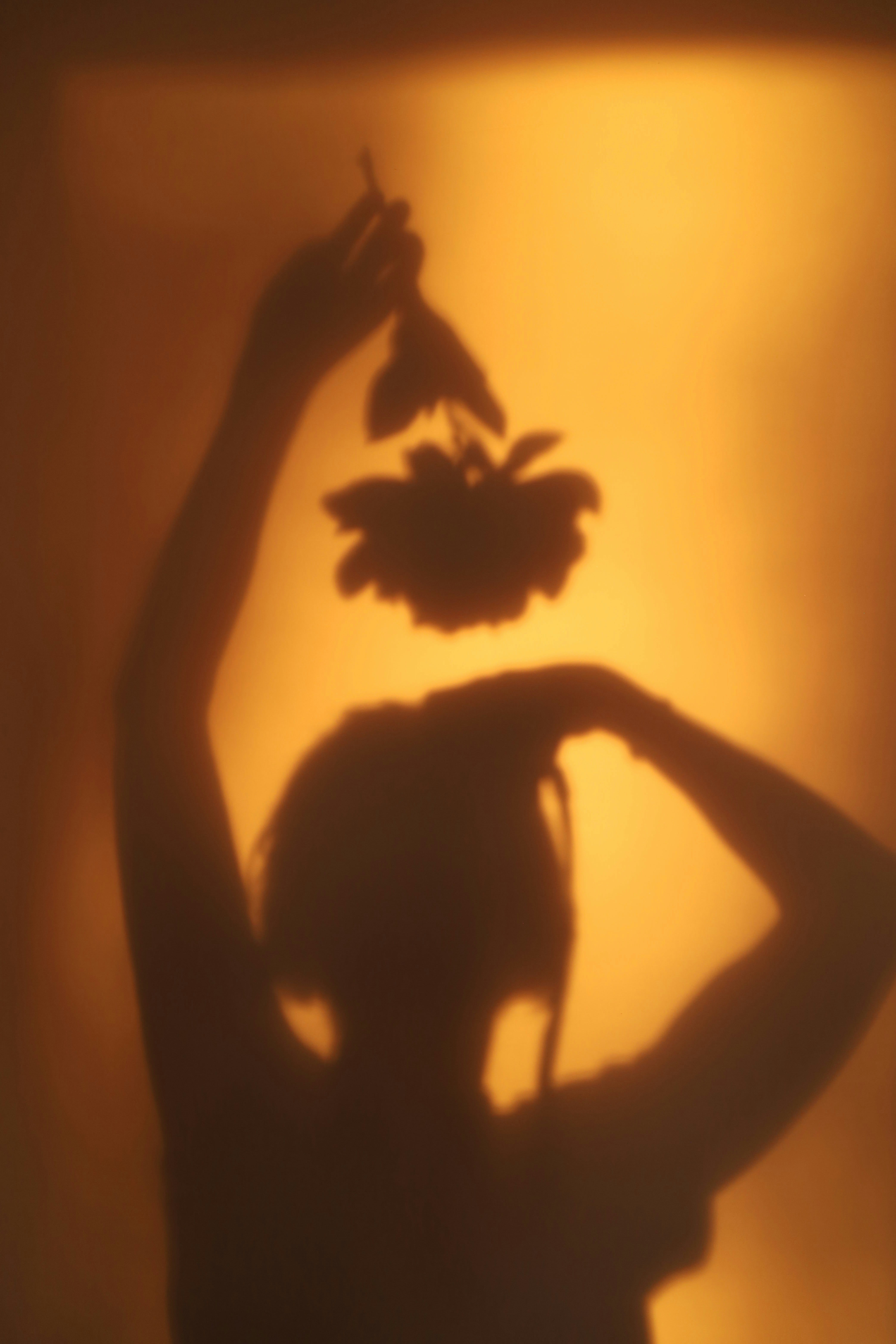 Shadow of a person holding a flower