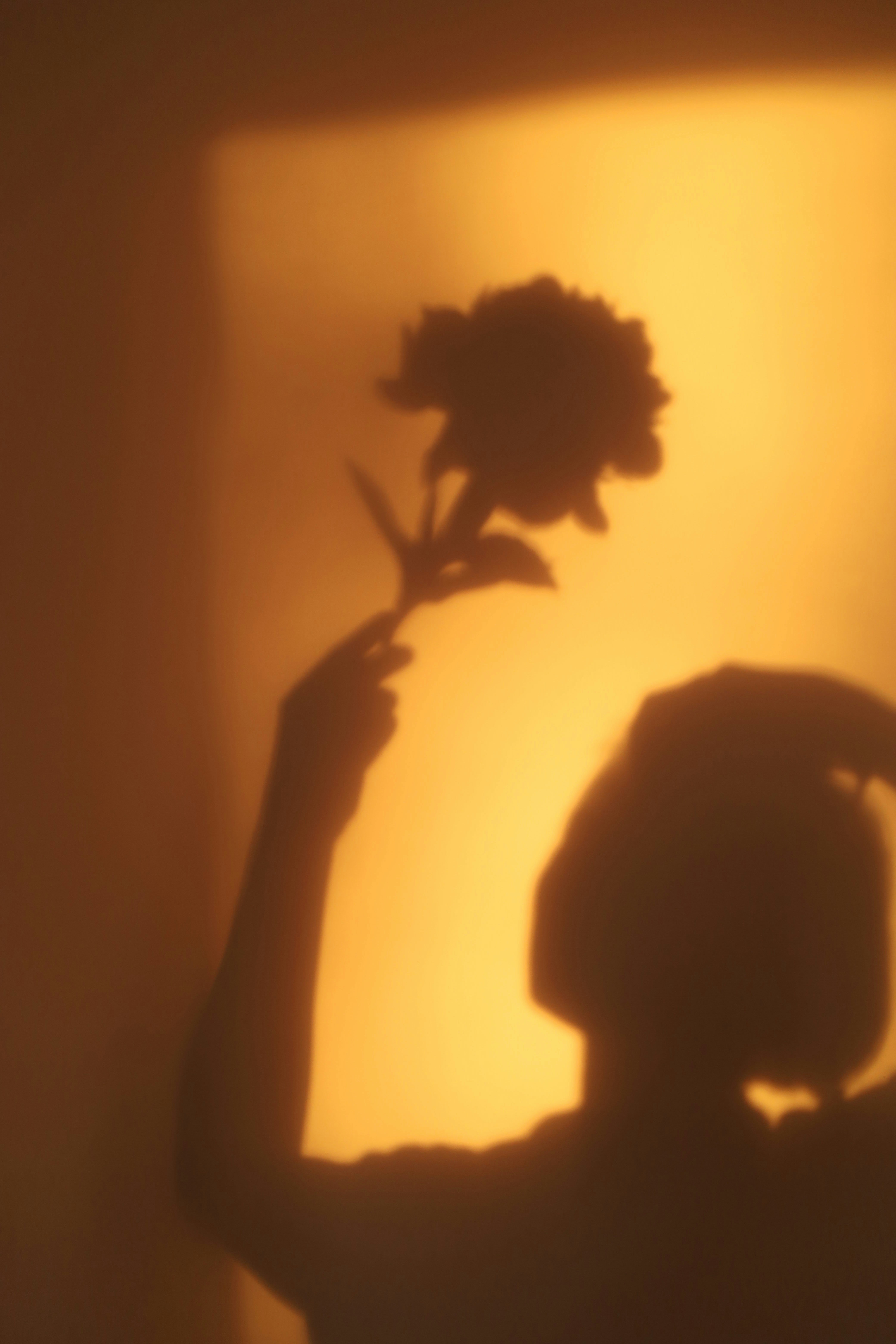 Silhouette of a person holding a flower against a wall.