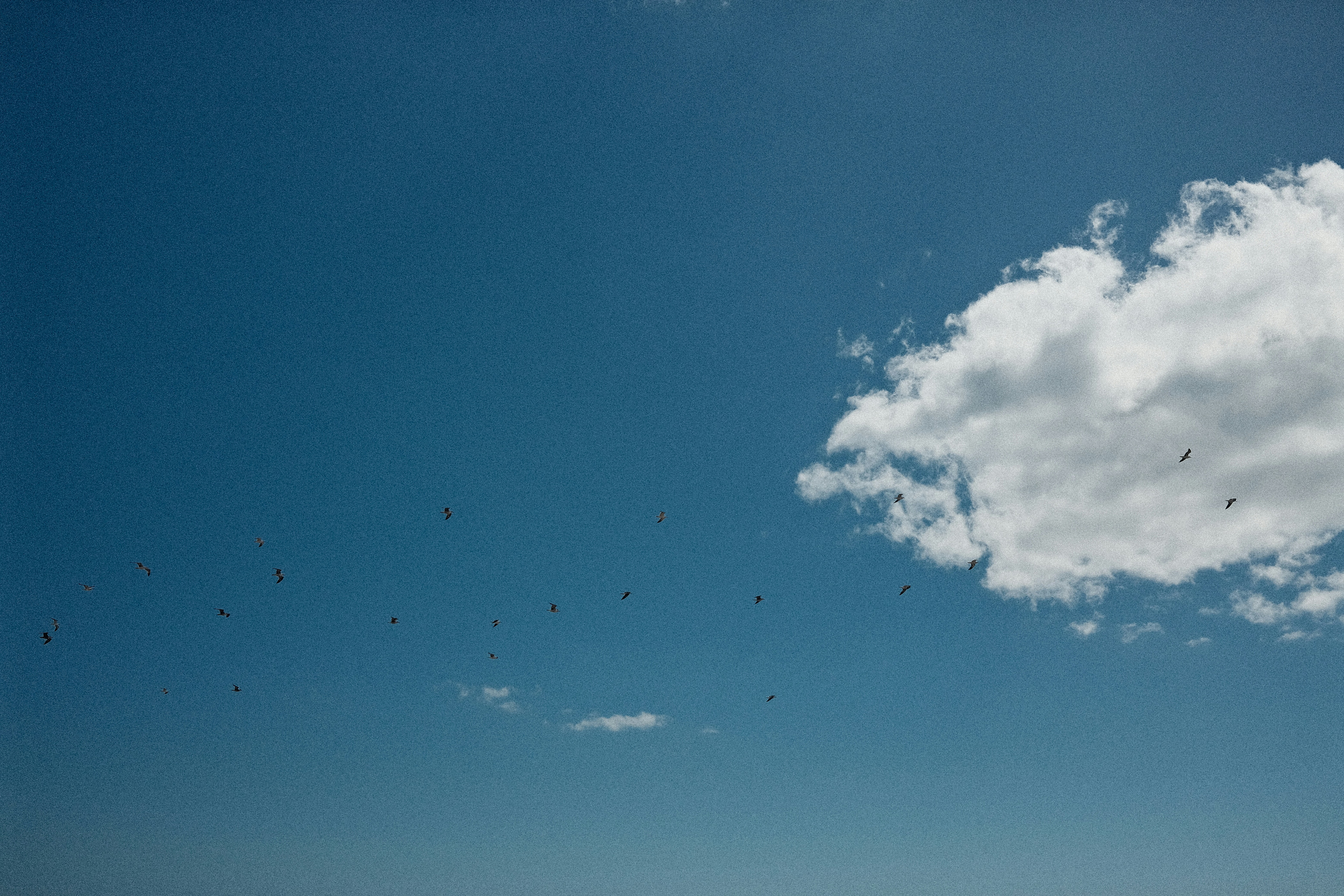 Photo by valentinlacoste