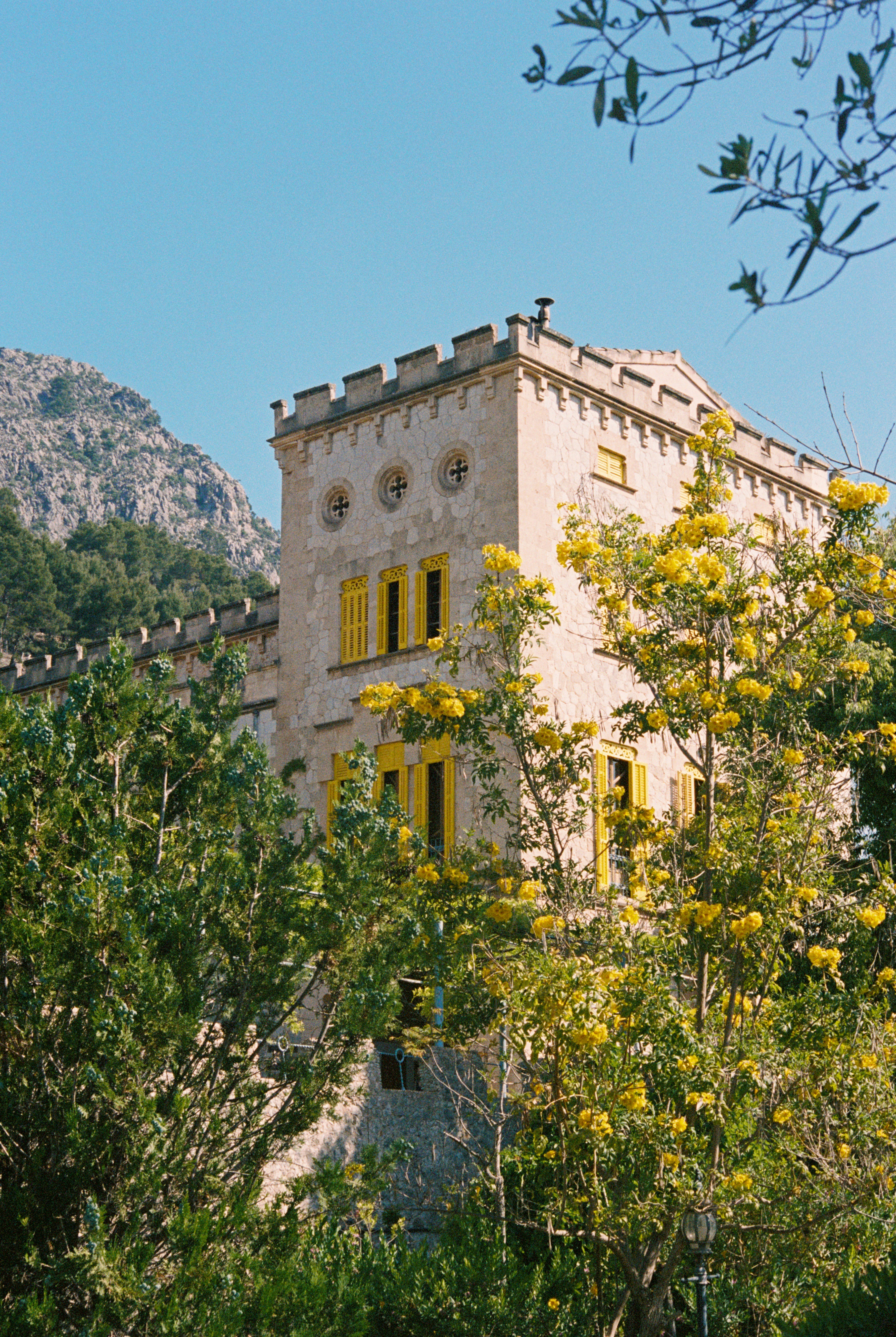 Historic building with yellow shutters surrounded by trees