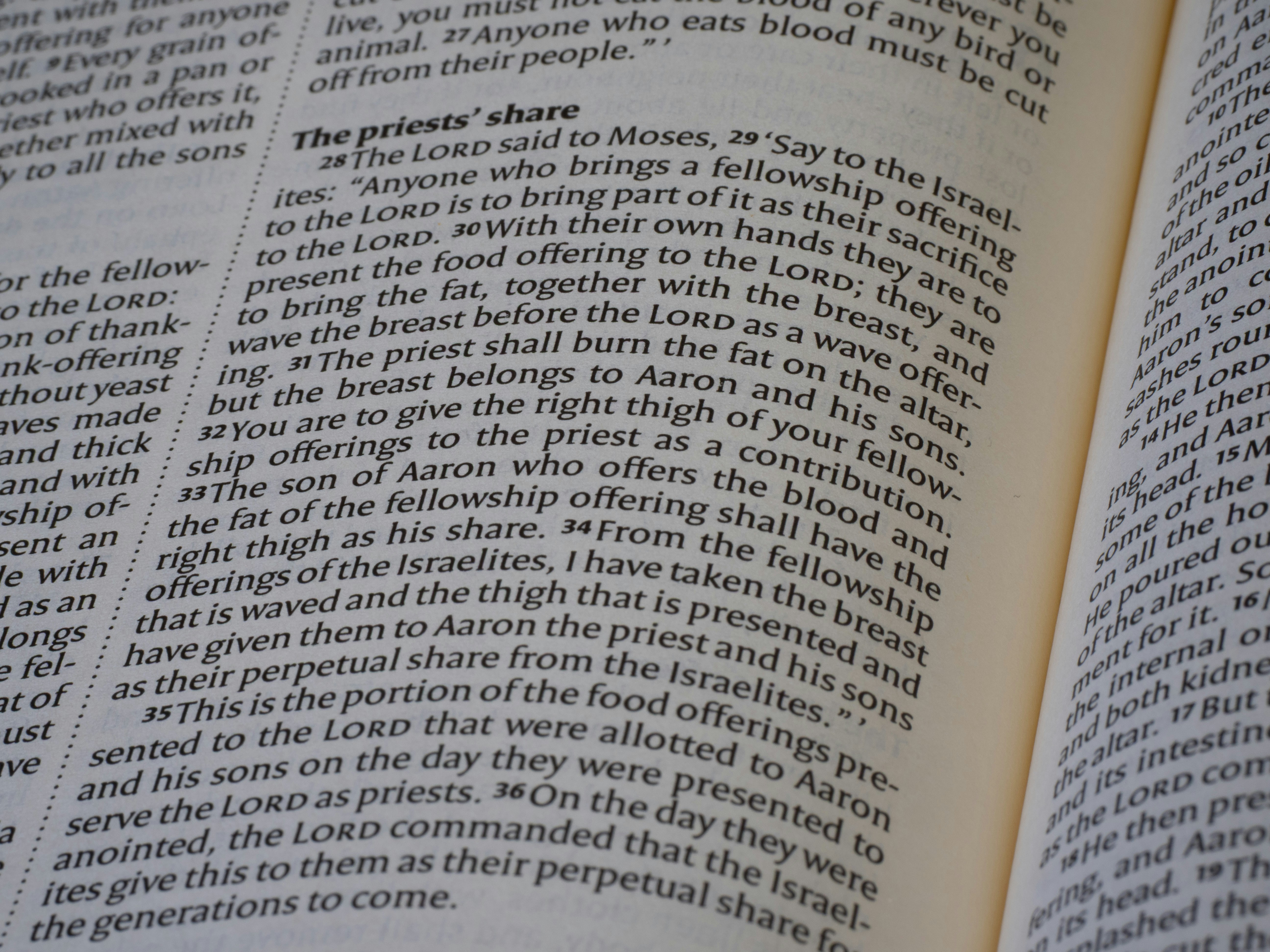 Close-up of an open book with text.