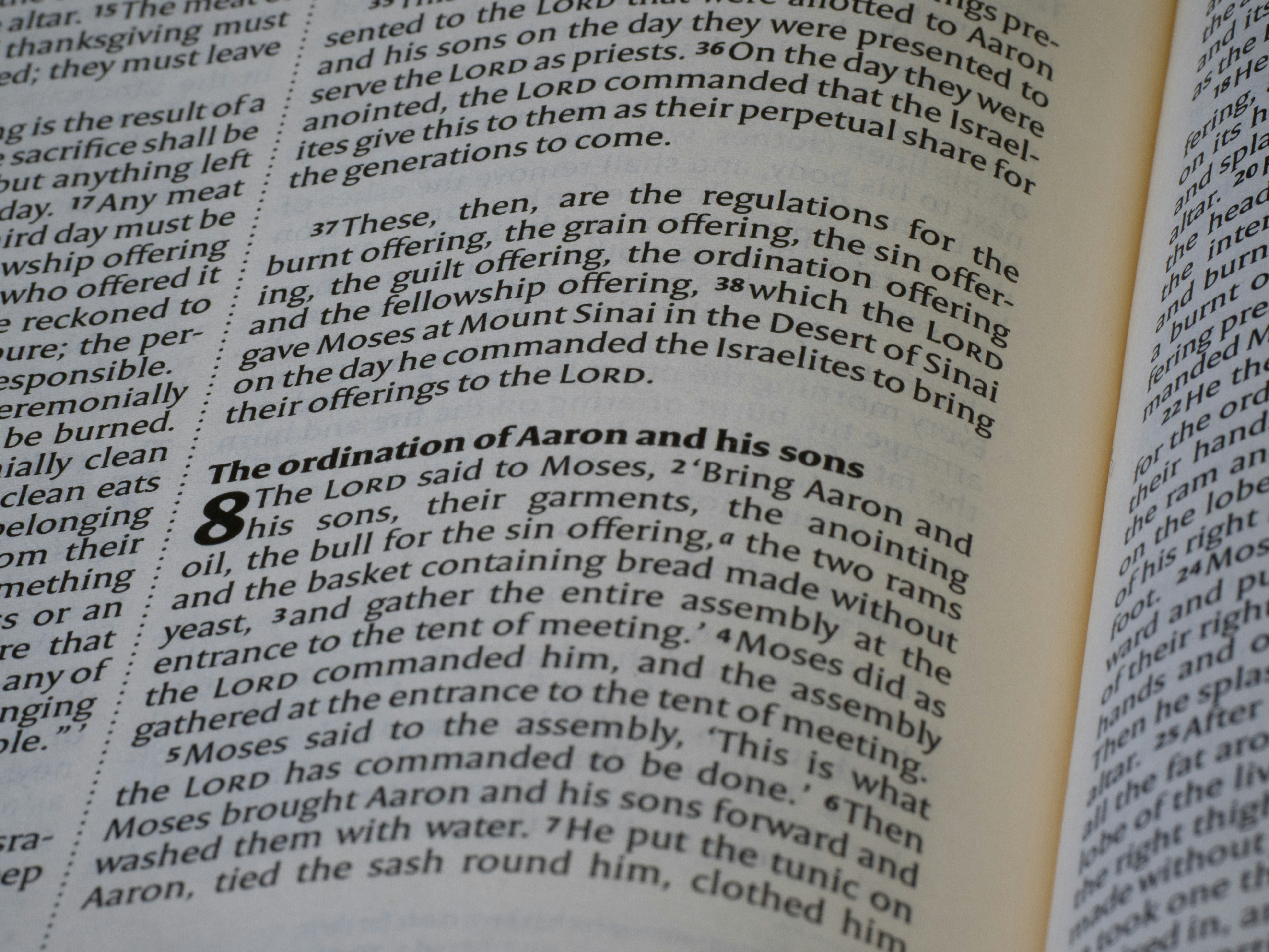 Close-up of an open bible with text visible.