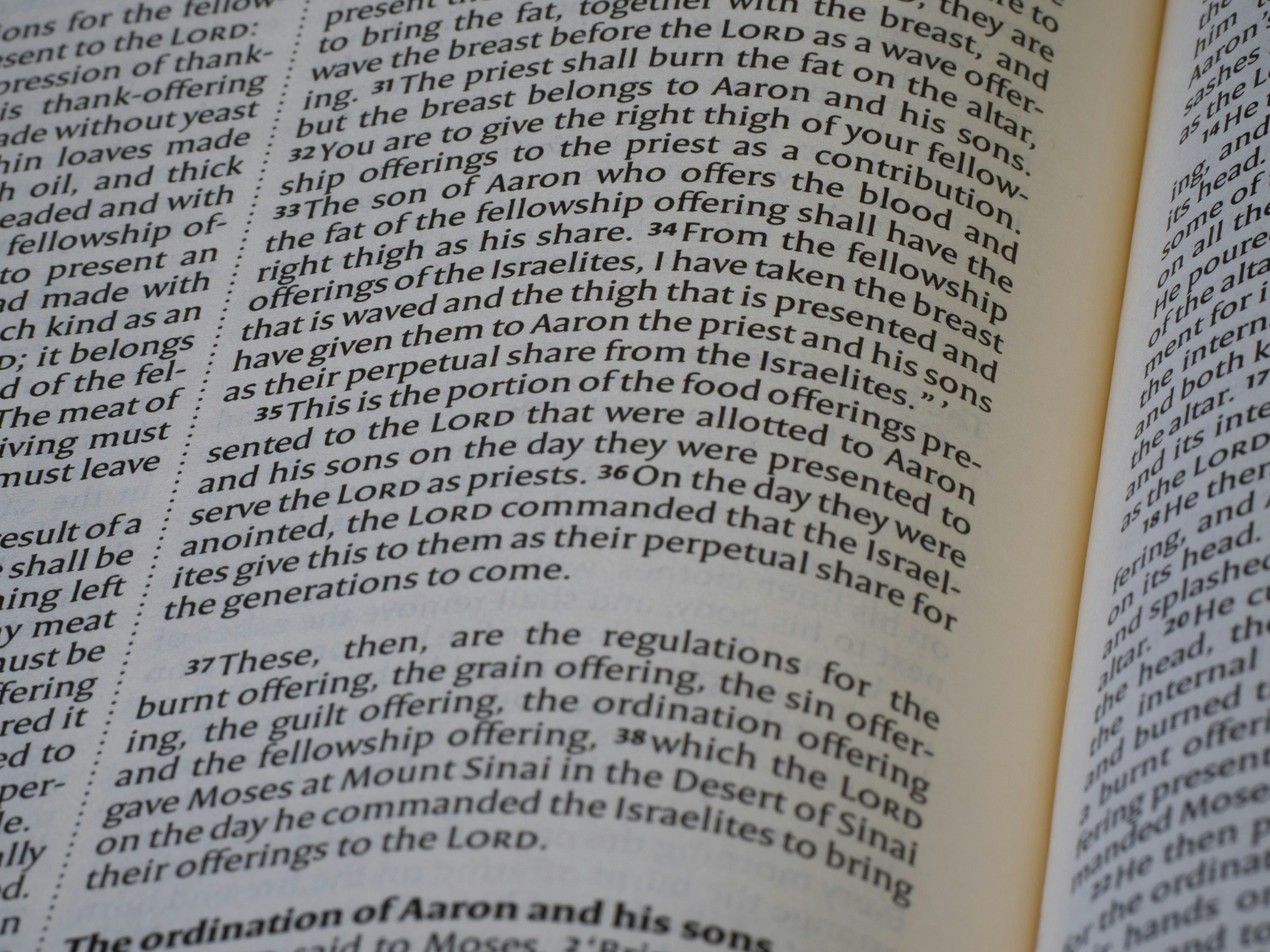 Close-up view of an open book with text.
