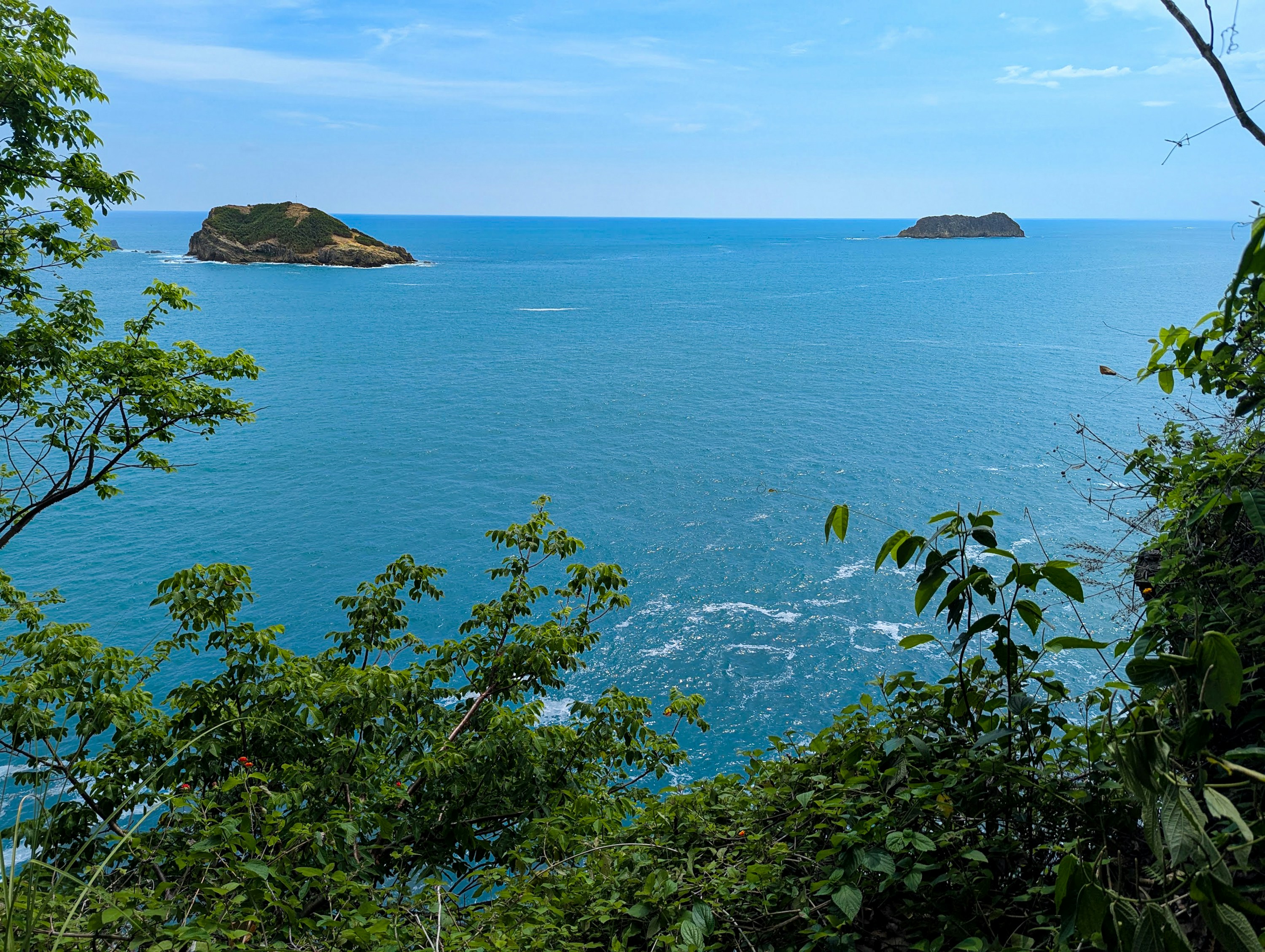 Photo by katiemont