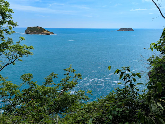 Tropical island views from treeline