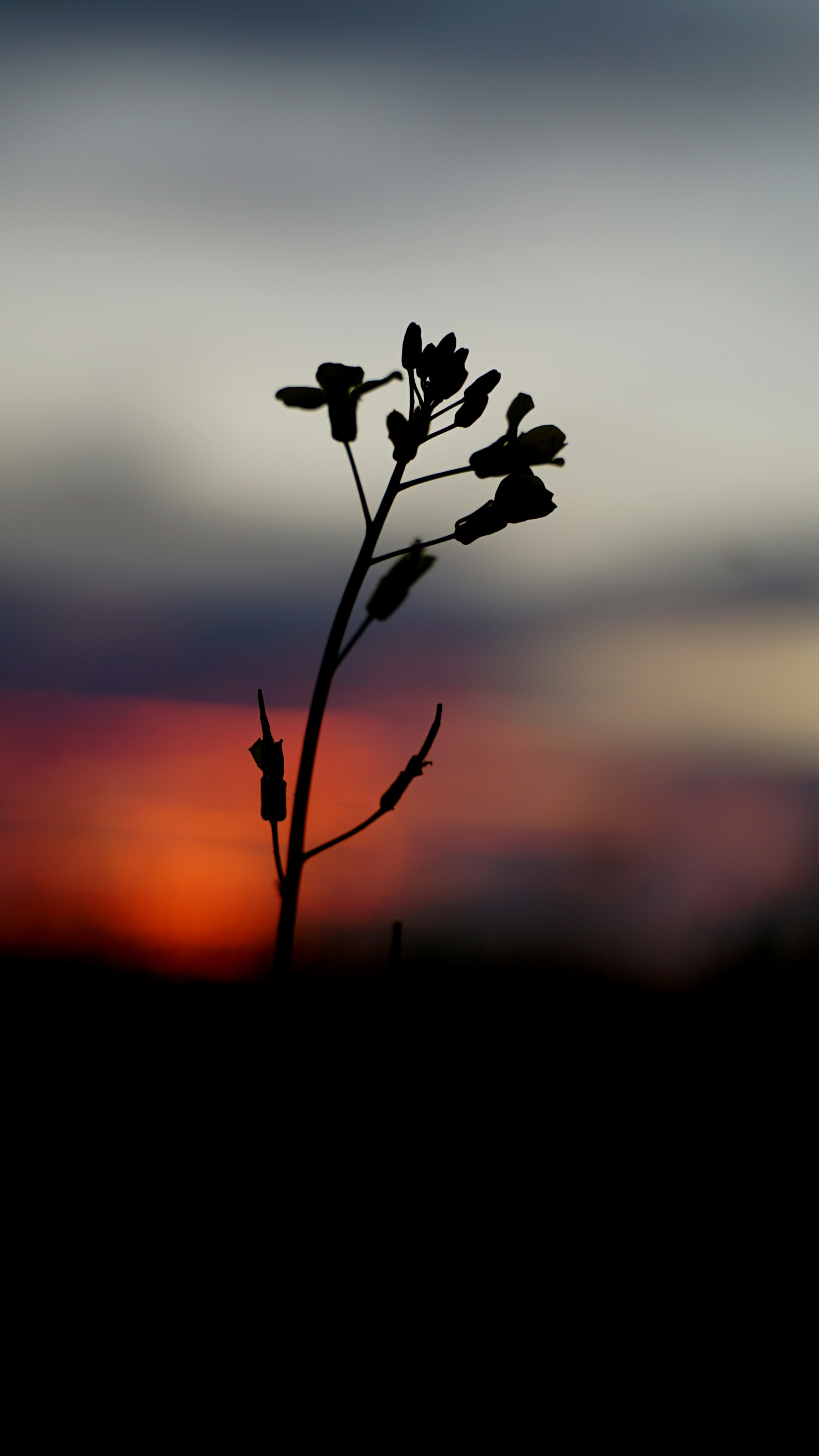 Photo by emack1