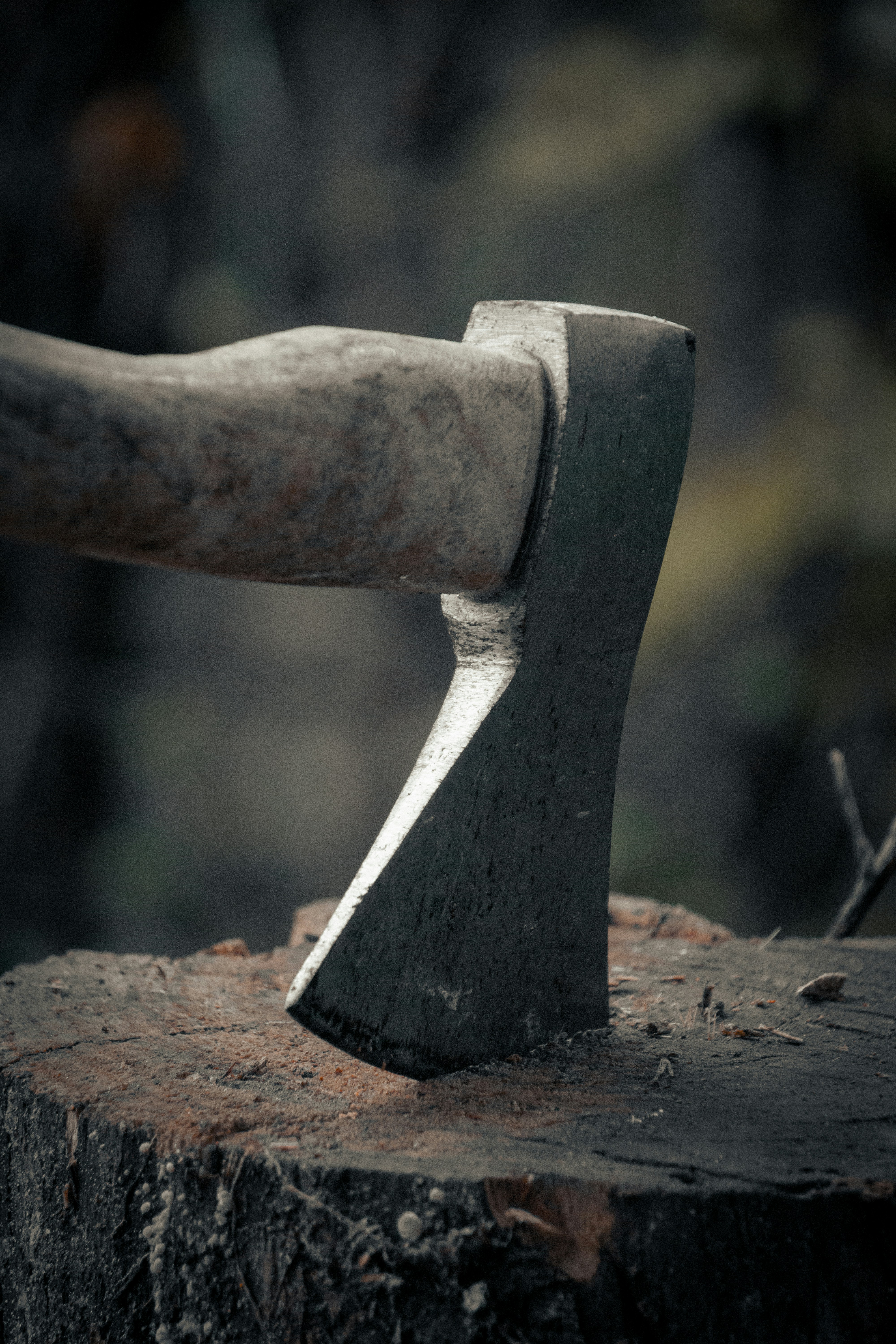 An axe head embedded in a tree stump