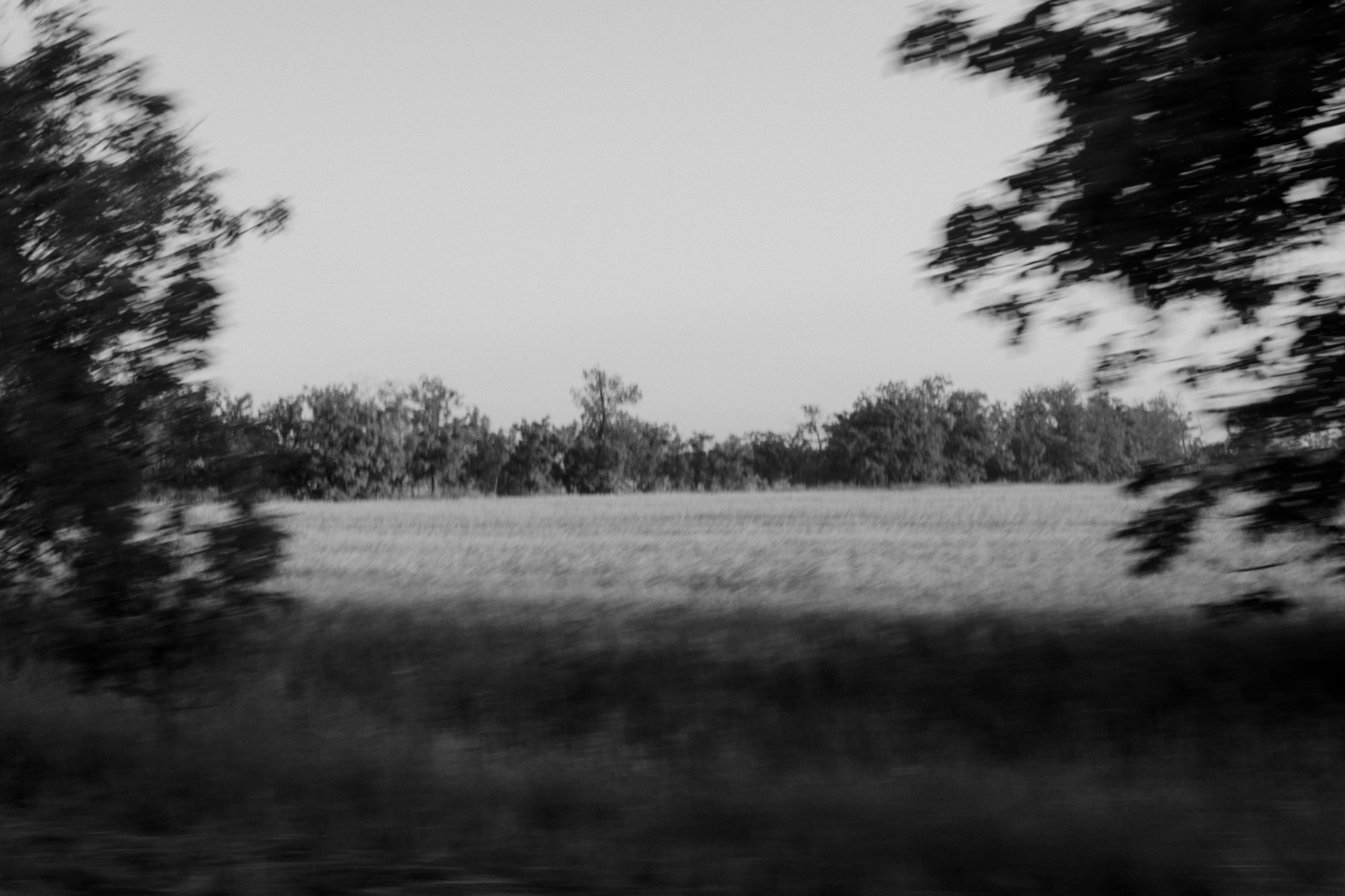 Photo by dmytrobayer