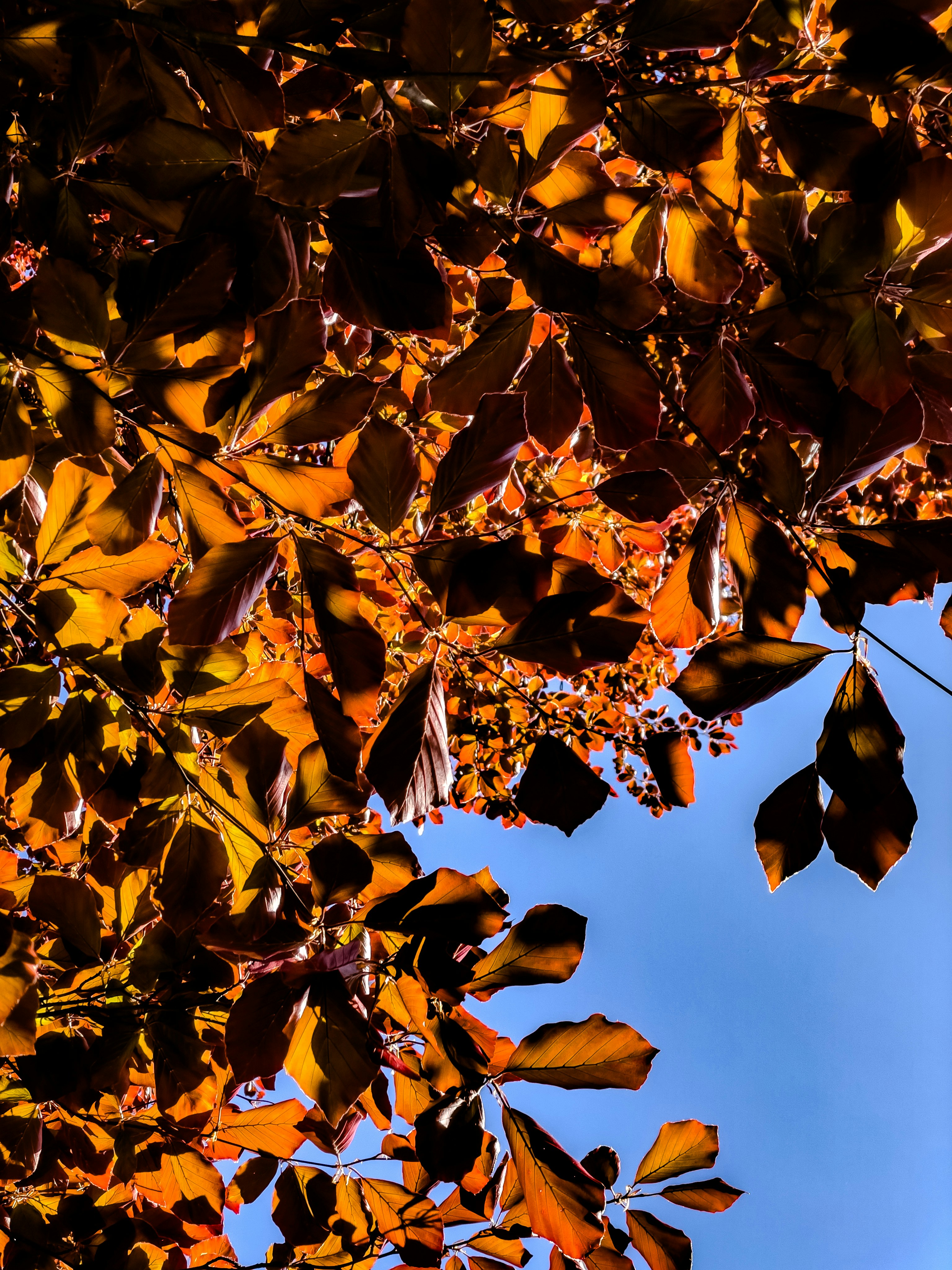 Photo by hdbernd