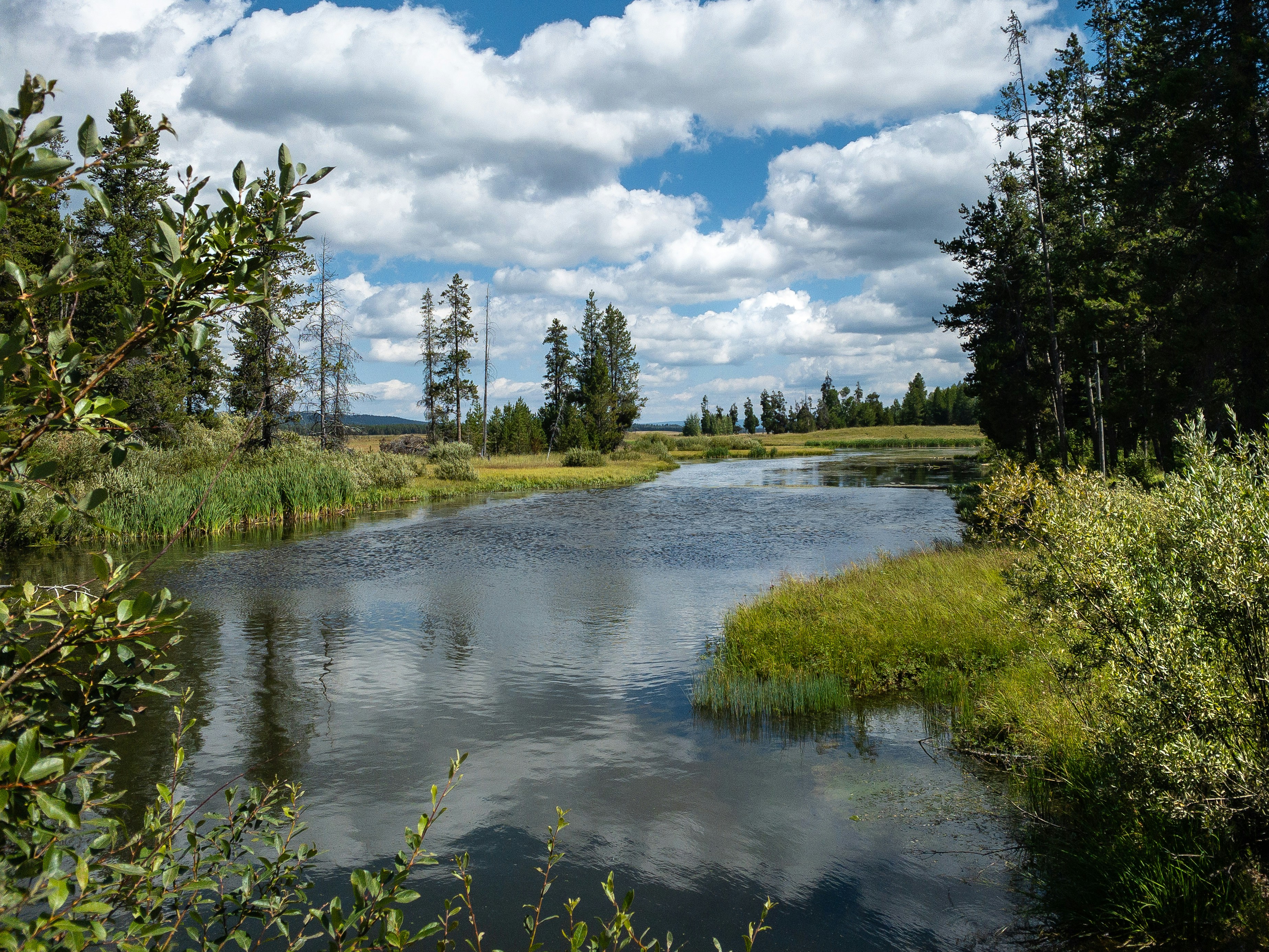 A calm river flows through a green landscape under clouds.