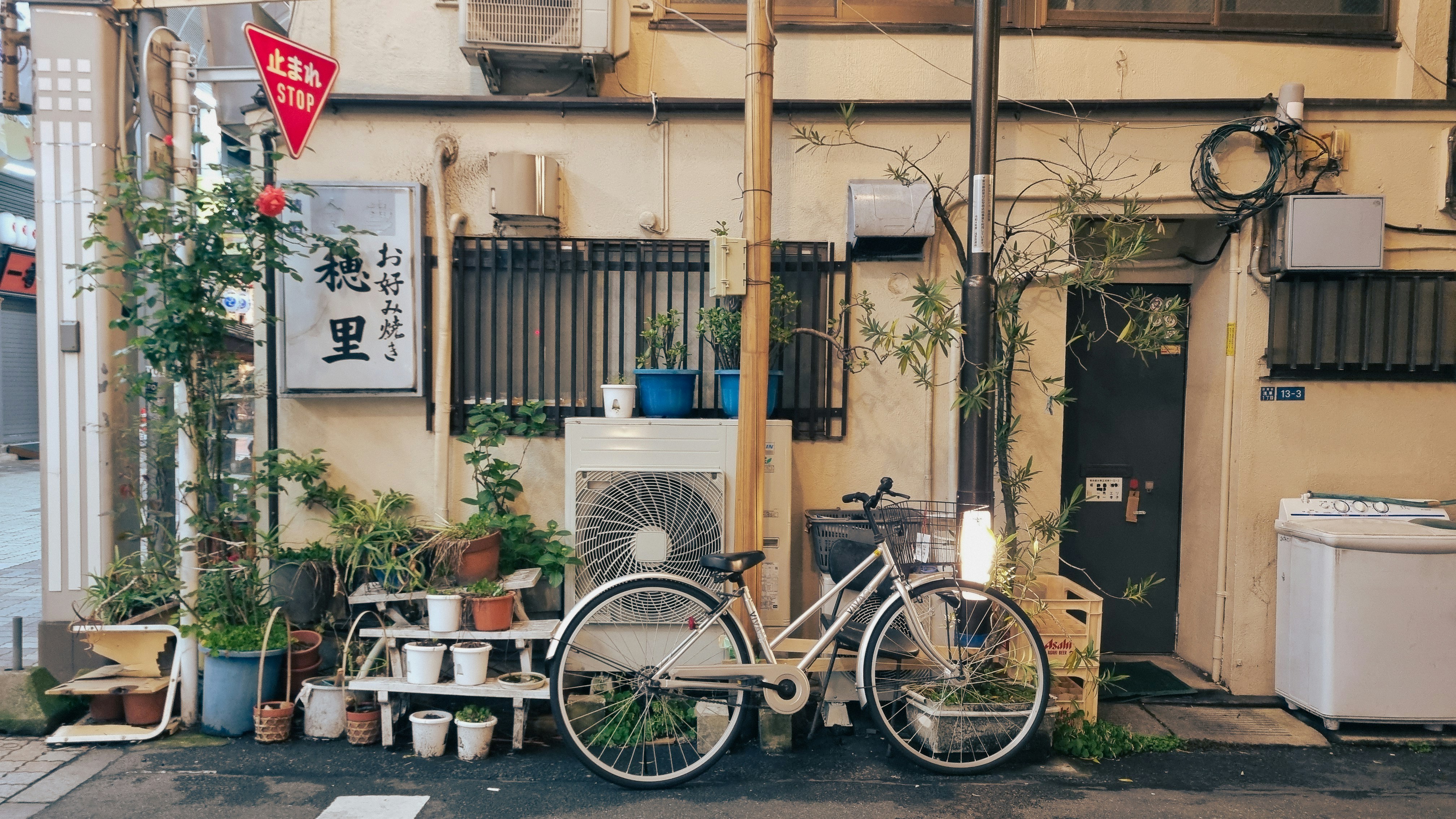 Bicycle parked on a narrow street with plants.