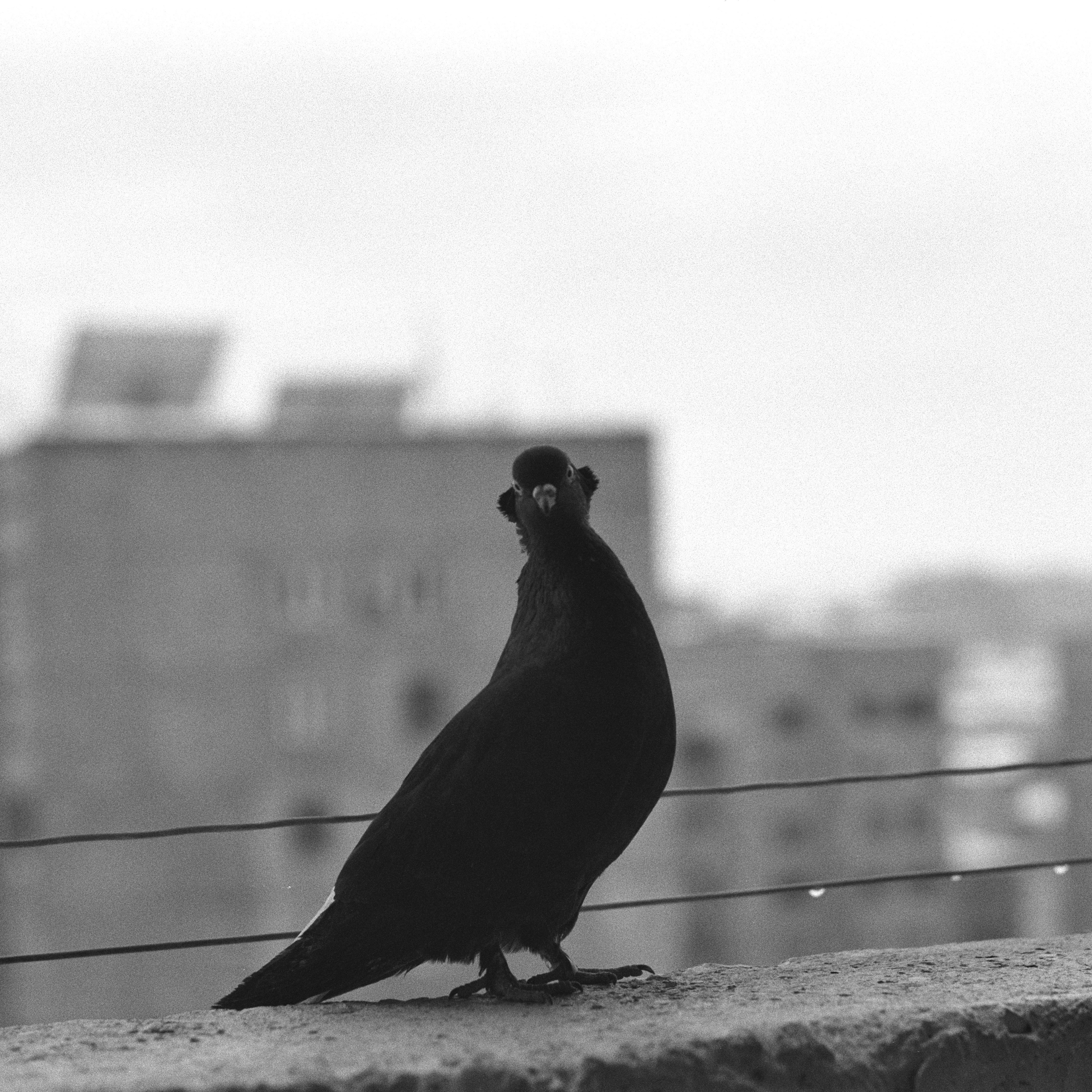 Photo by filmijanov