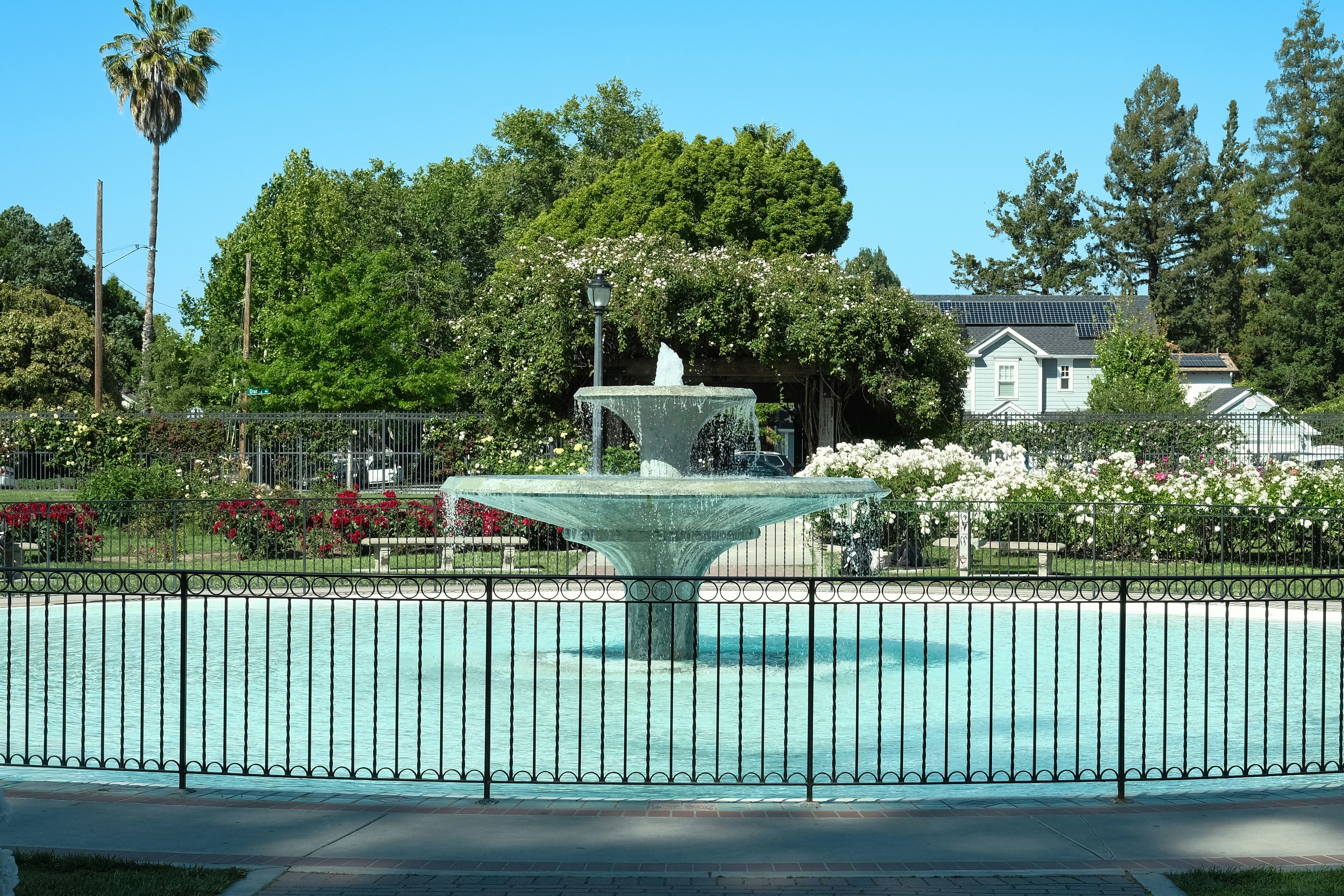 Uma bela fonte em um parque com rosas.