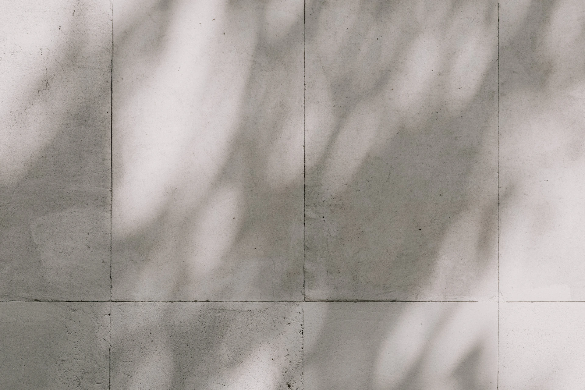 Shadows of leaves on a textured wall