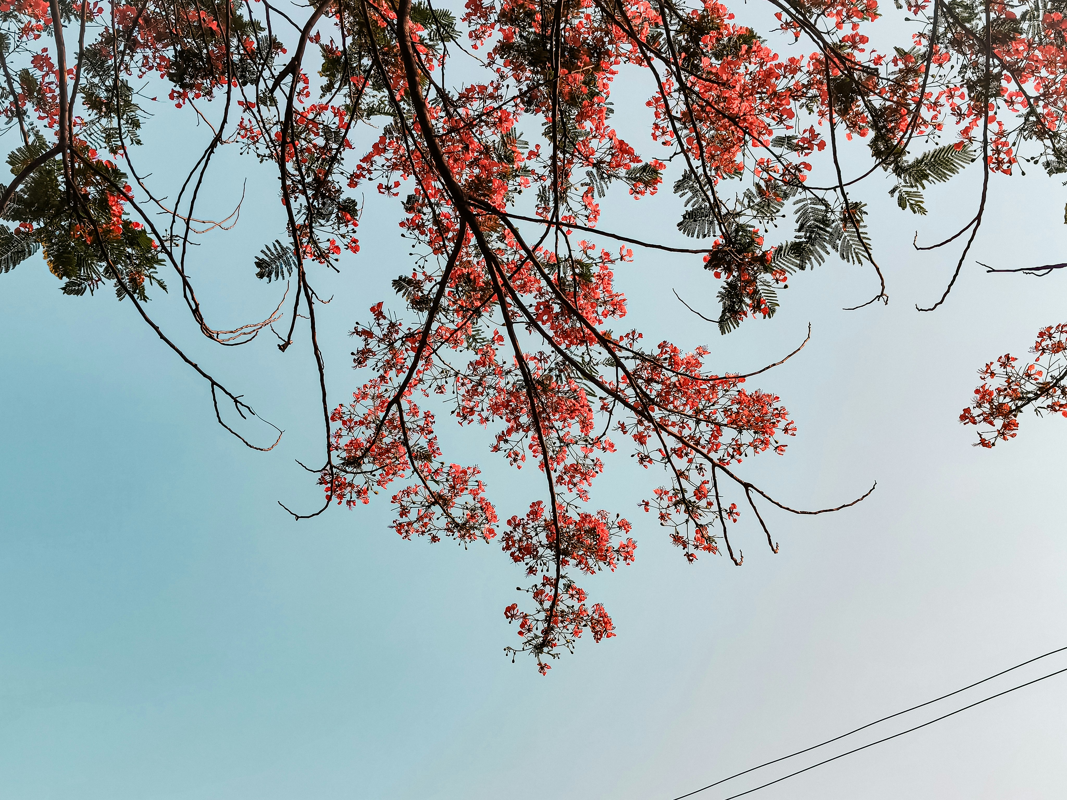 Photo by naimur9