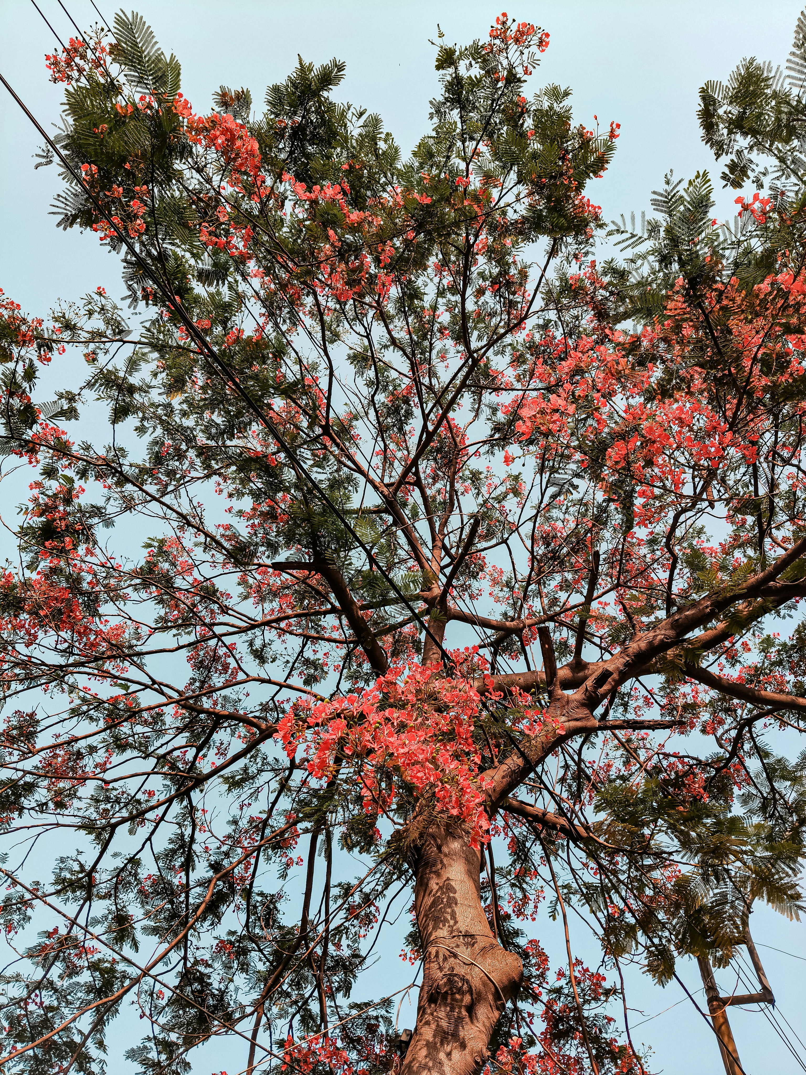 Photo by naimur9