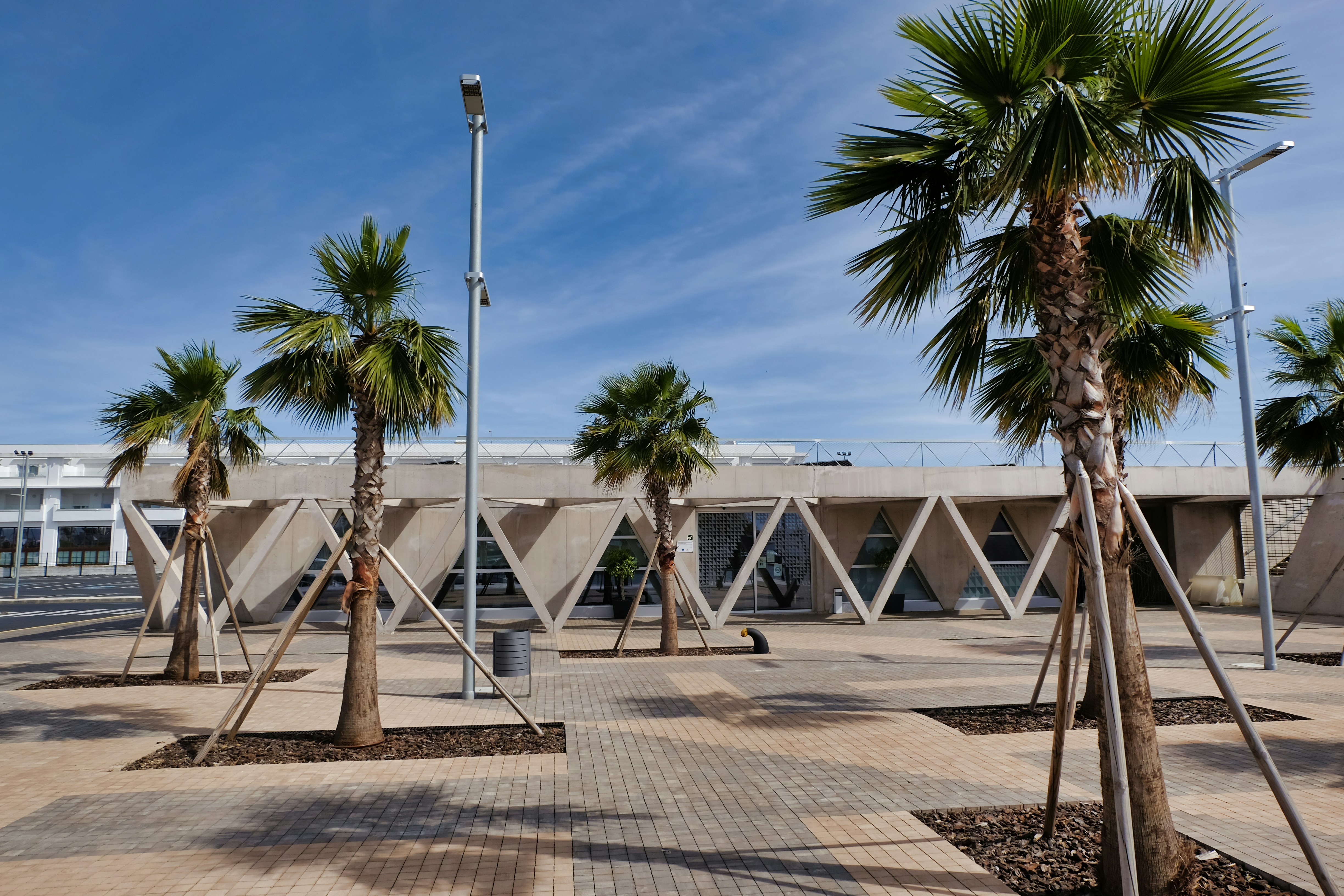 Palmiers devant un bâtiment moderne