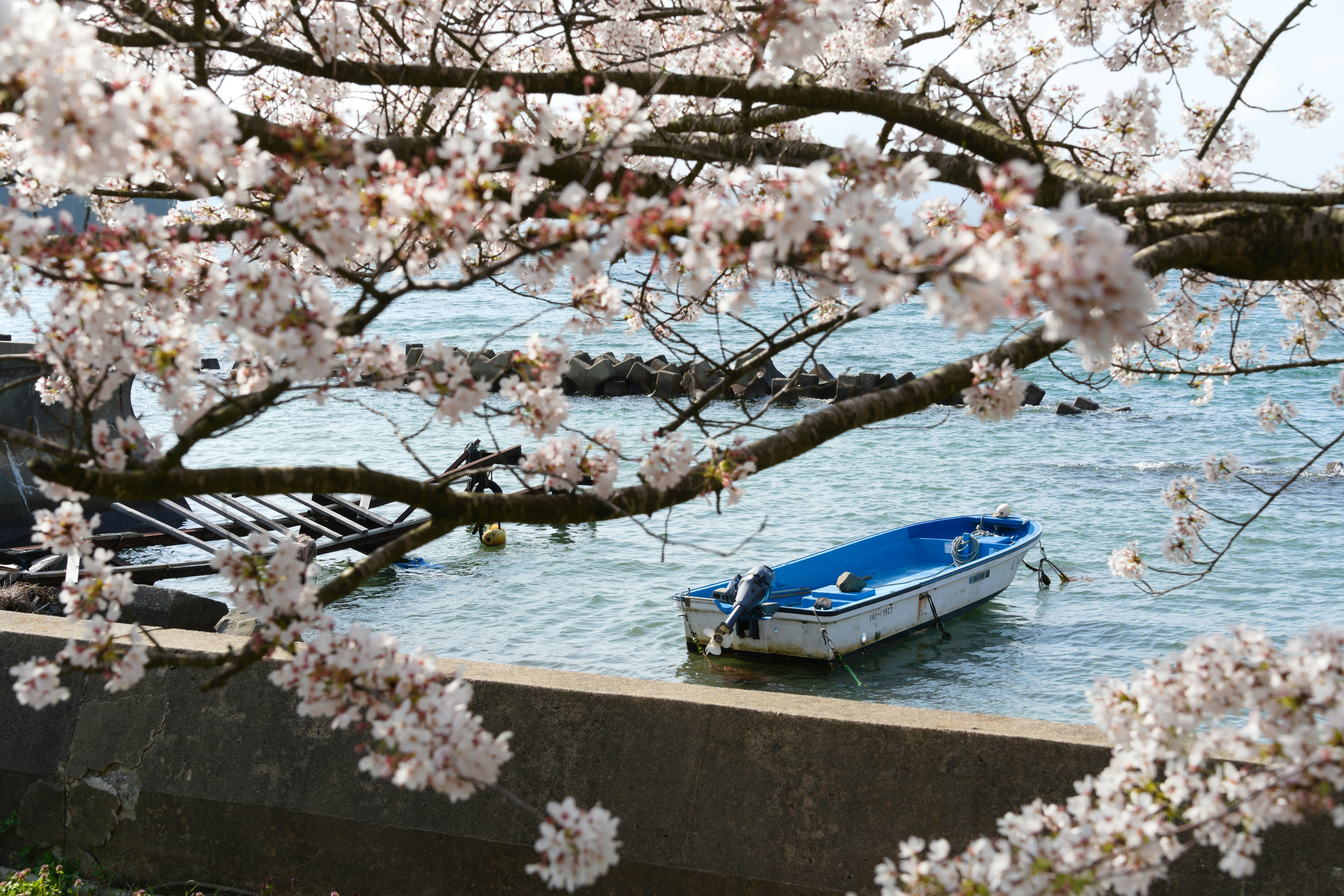 Photo by toowaaw