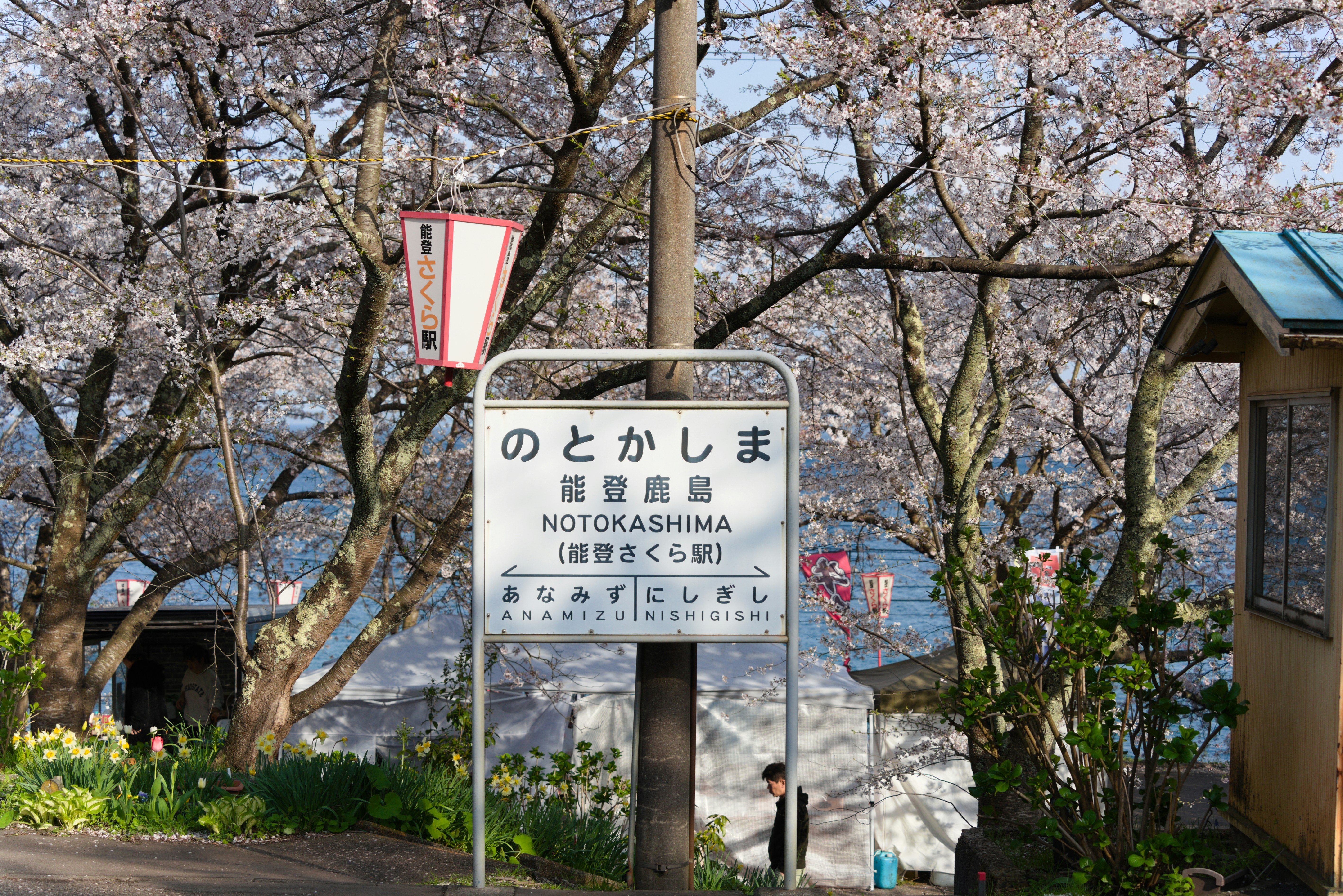 栃木県の冬旅おすすめスポット｜日光湯元・那須・足利フラワーパーク