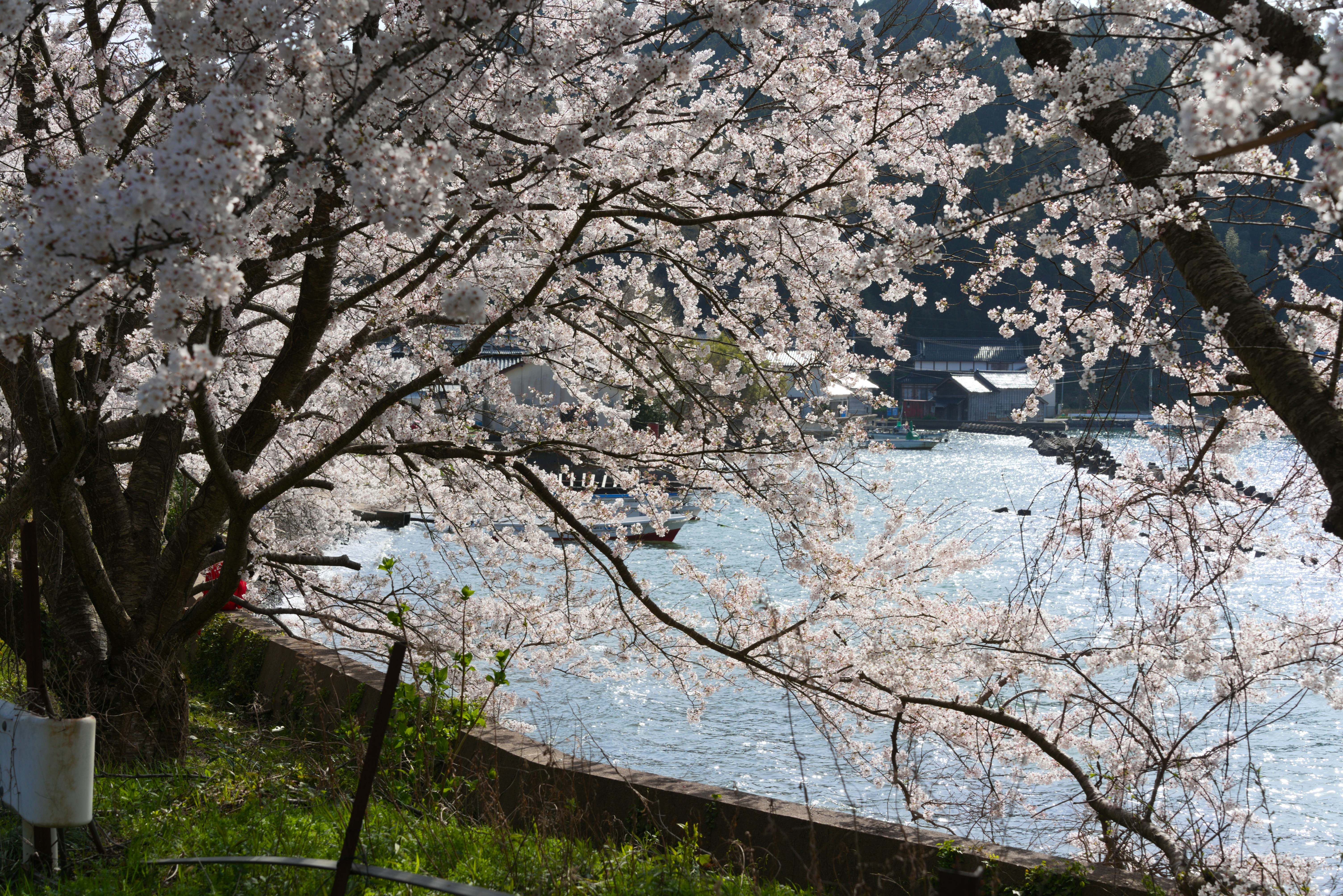 Photo by toowaaw