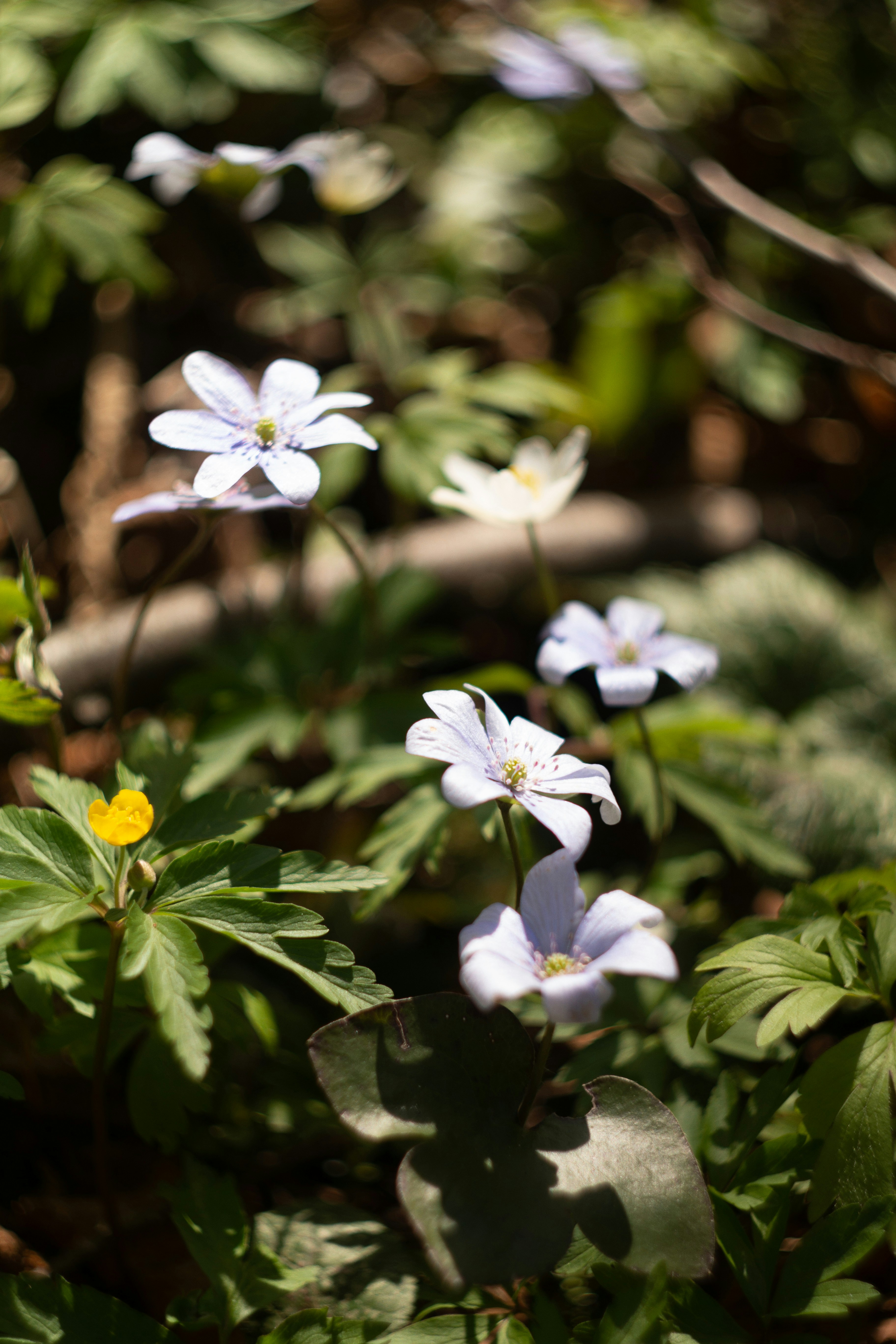 Photo by kuzminklk