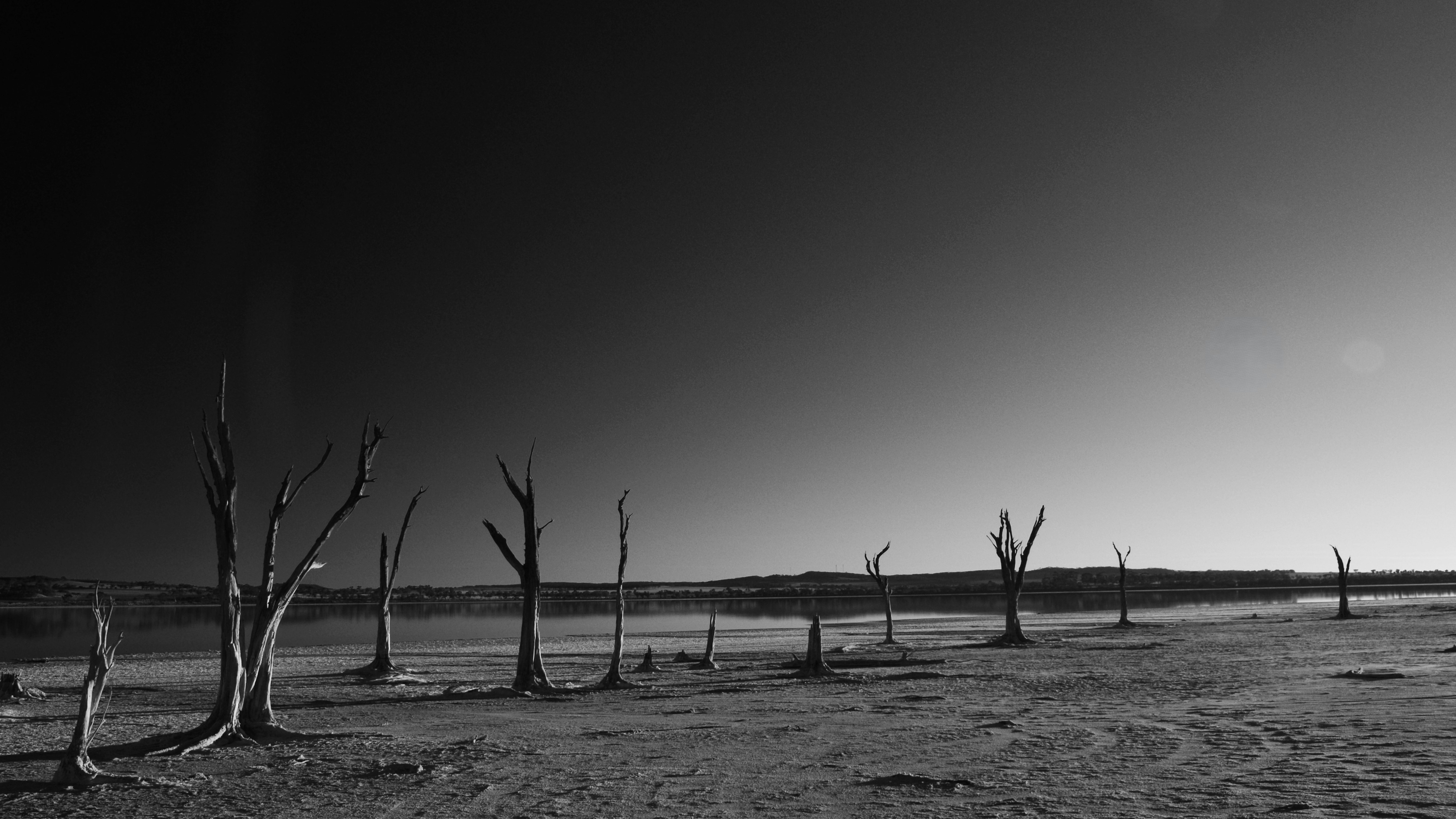 Paisagem árida com árvores mortas sob um céu escuro