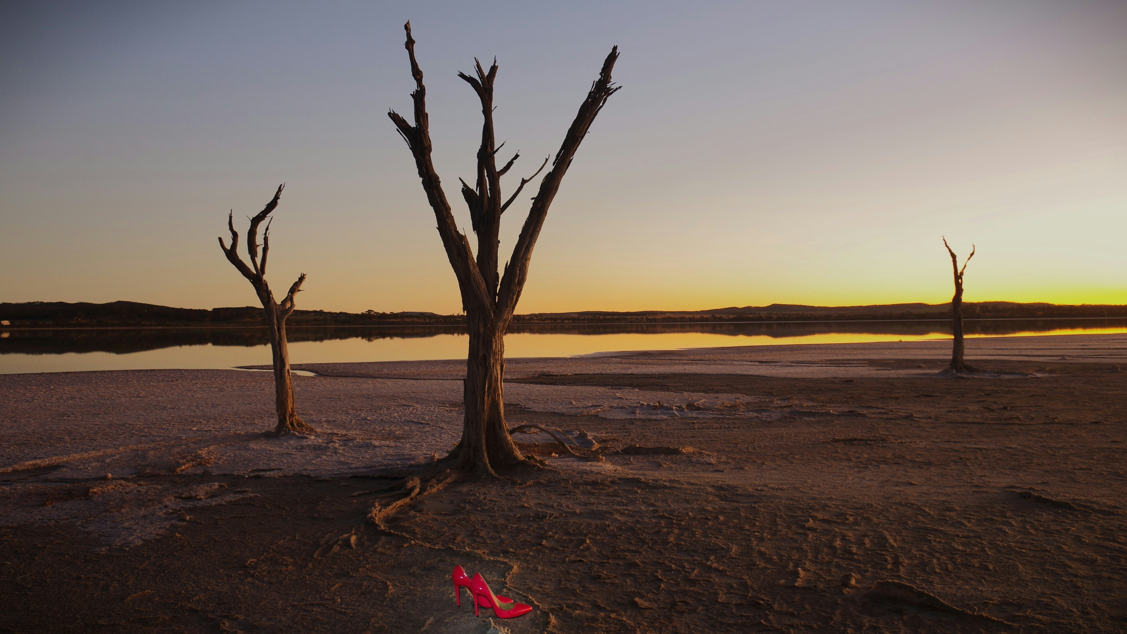 Árvores nuas em uma paisagem seca e desolada ao pôr do sol