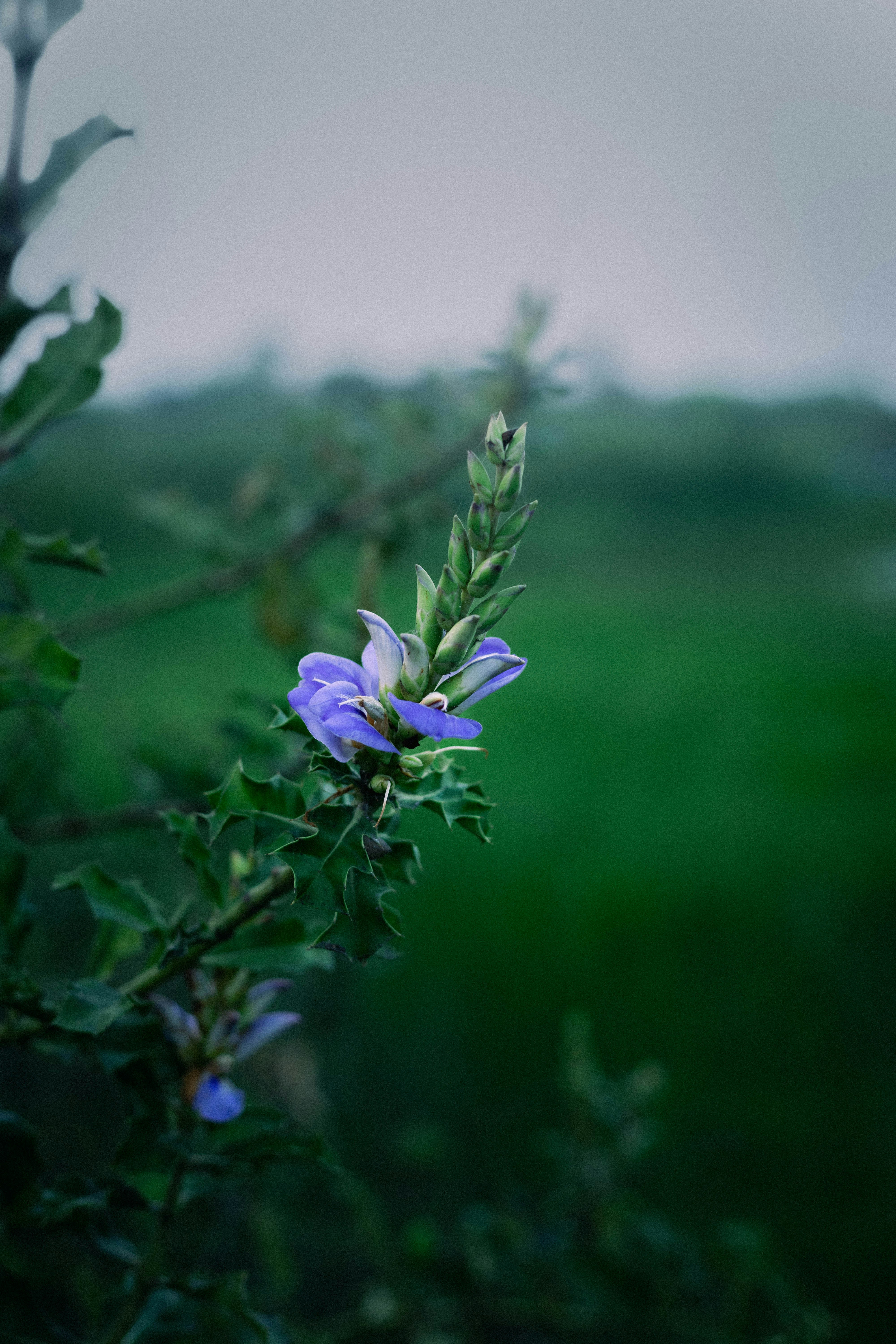 Photo by sajibsrs