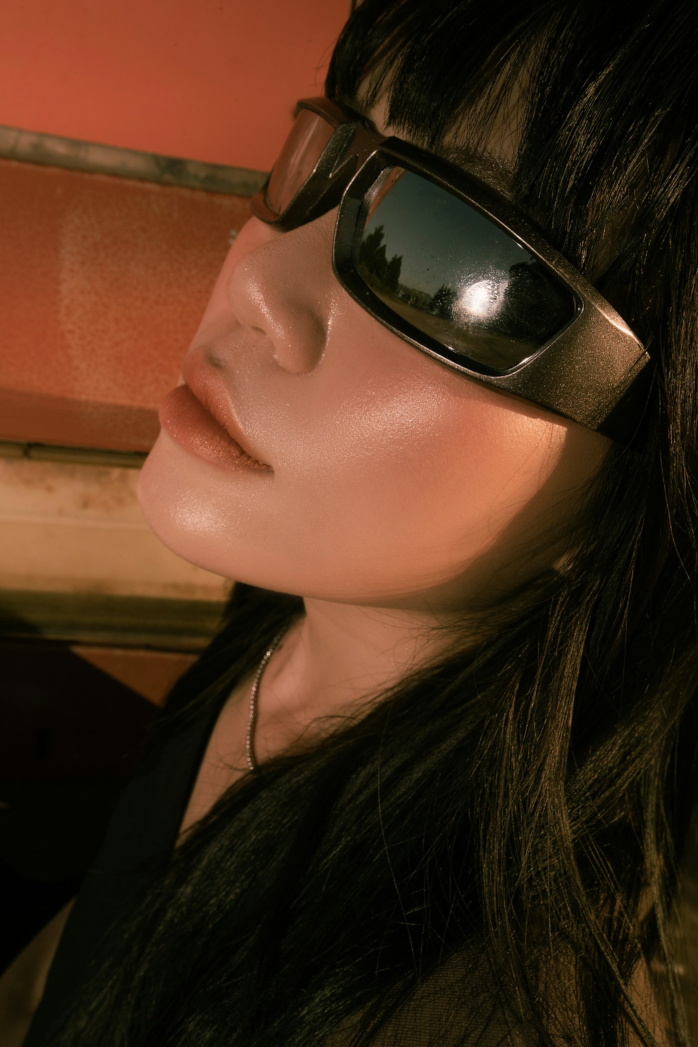 Sunglasses collection