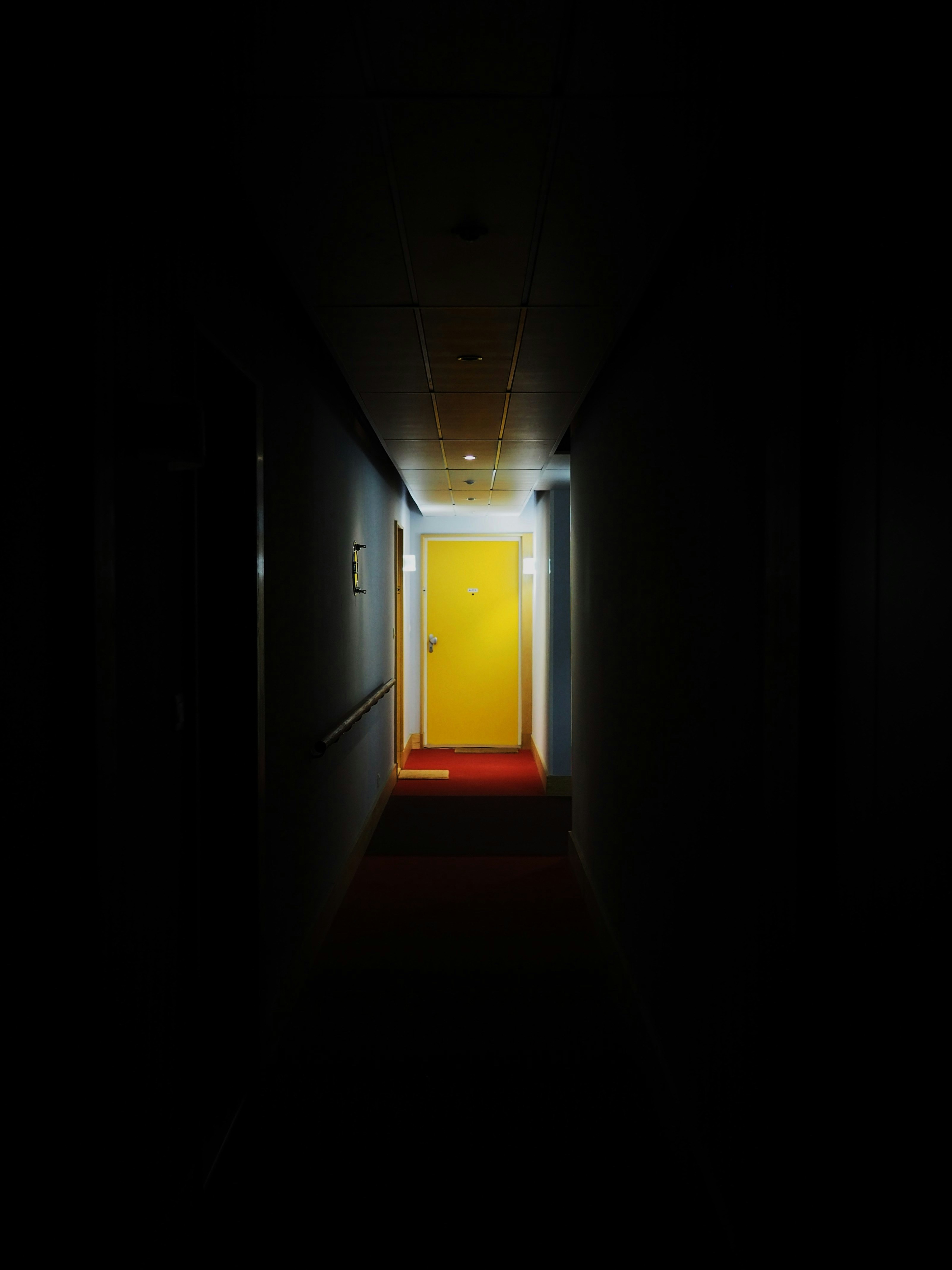 Photo by nimbus_vulpis
